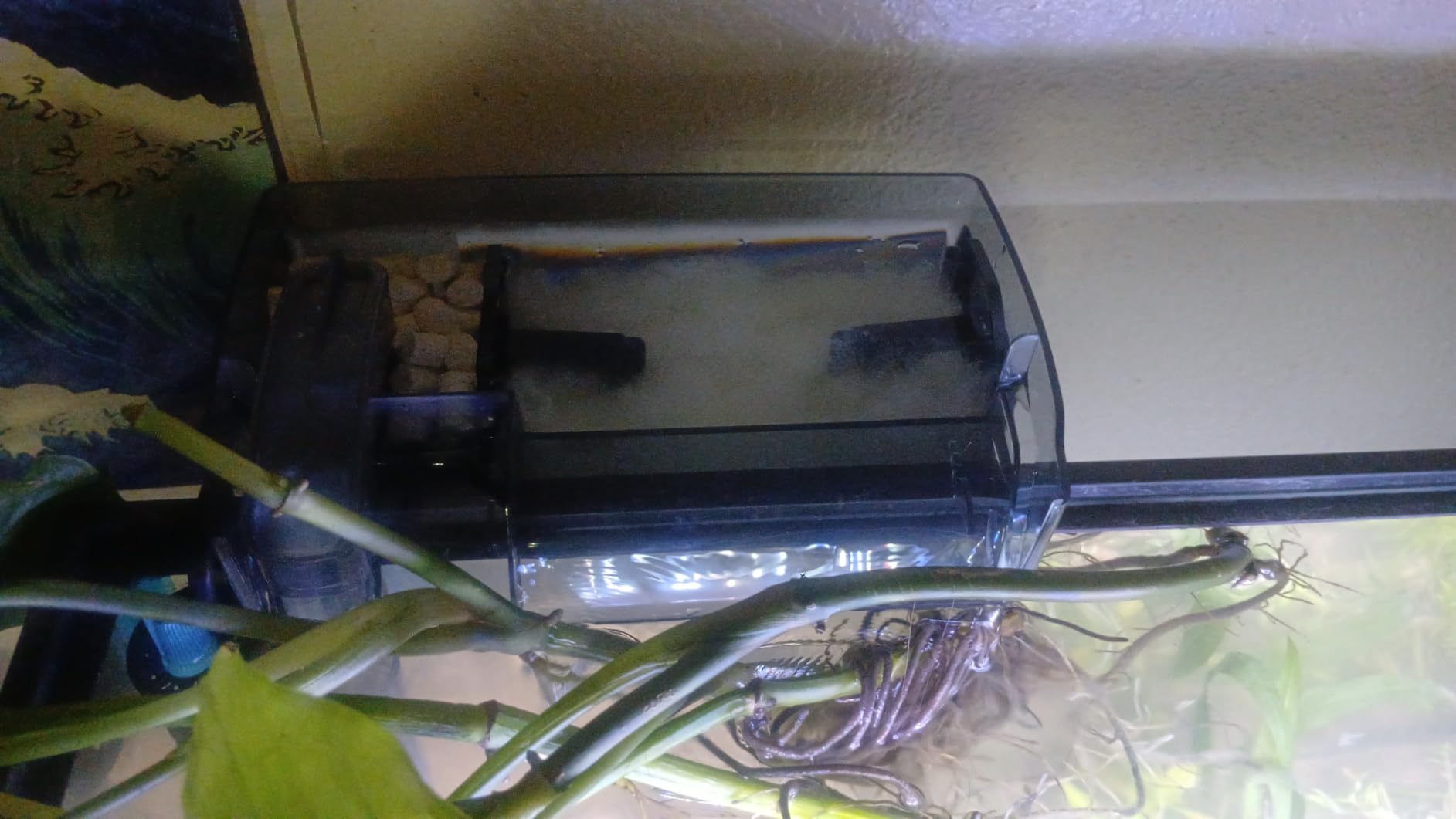 Fluval 50 Power Filter - Aquarium Filter for 20 to 50 Gallon Fish Tanks customer photo 1