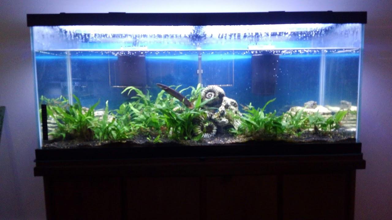Tetra Whisper Internal Power Filter, Large Bio-Bag Filter Cartridges, 3-Stage Filtration, 10-30 gal customer photo 2