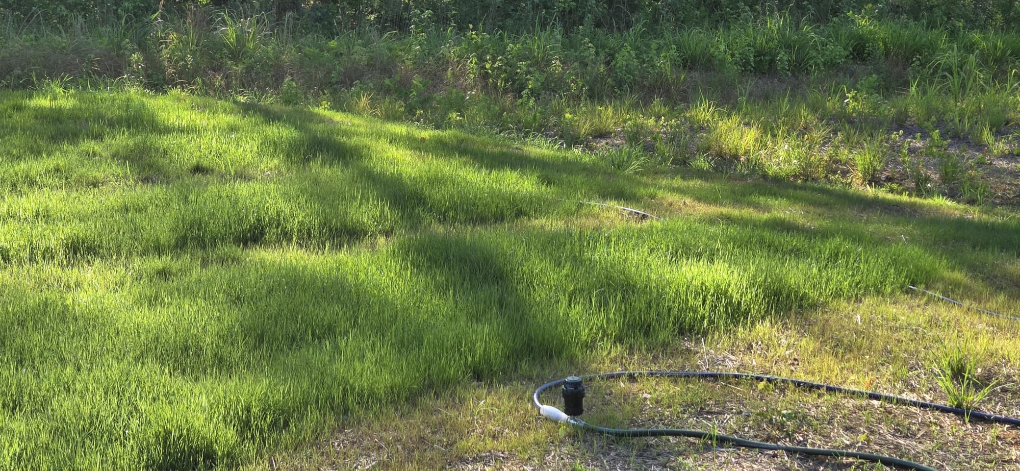 Orbit H2O-Six Gear-Drive Sprinkler on Metal T-Spike - Customizable Lawn Watering Coverage - Multi-Pattern Rotating Head with Adjustable Spray Range - Durable Outdoor Yard Irrigation Sprinkler - 58573 customer photo 2