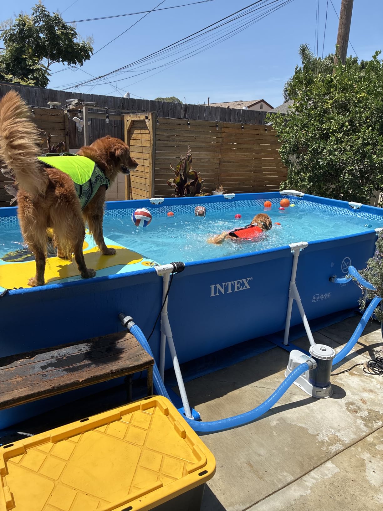 INTEX Rectangular Frame 14 ft 9 in x 7 ft 3 in x 33 in Above Ground Pool, Swimming Pool with Steel Frame, Pump Not Included customer photo 1