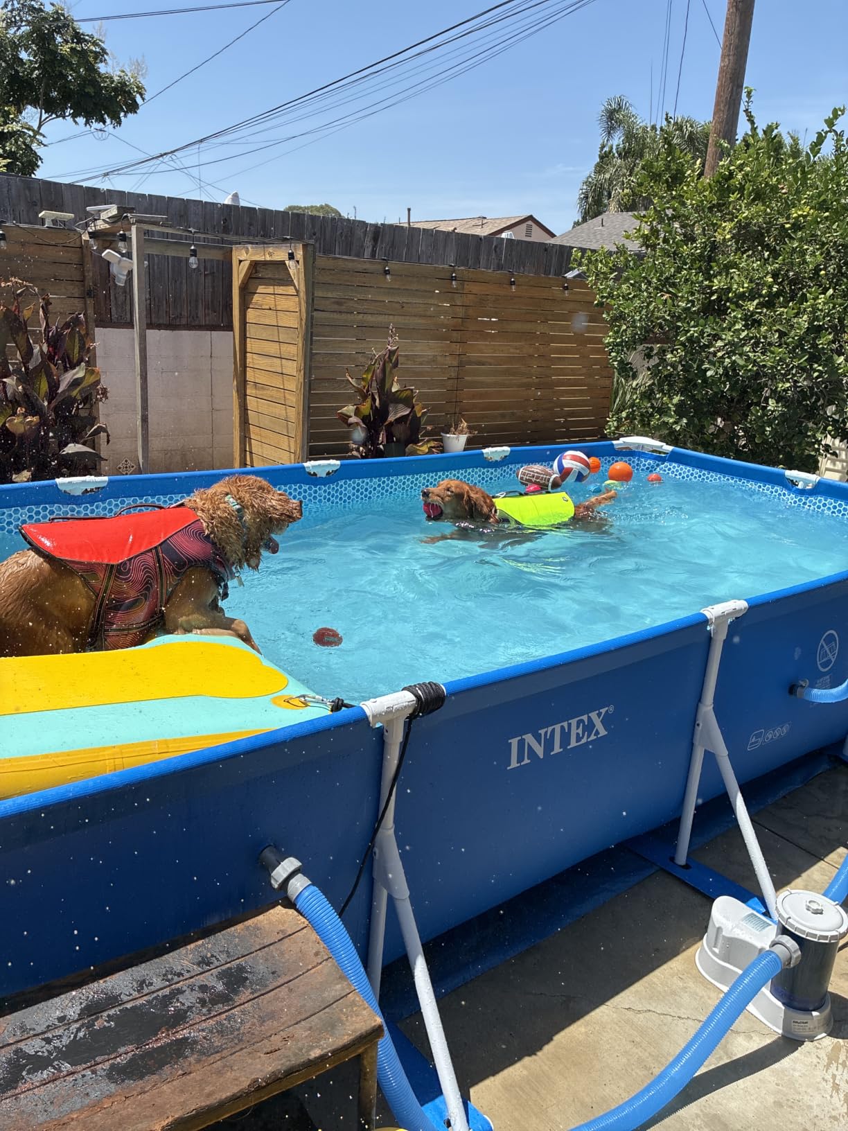 INTEX Rectangular Frame 14 ft 9 in x 7 ft 3 in x 33 in Above Ground Pool, Swimming Pool with Steel Frame, Pump Not Included customer photo 2