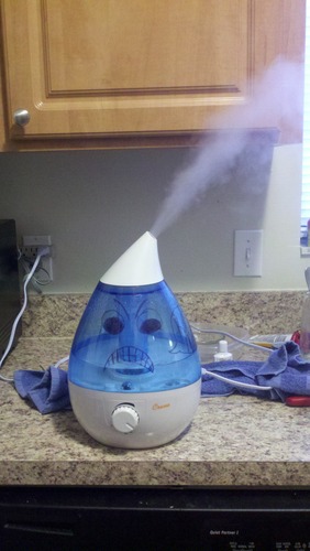 Crane Ultrasonic Cool Mist Humidifier for Bedroom, Baby Nursery, Kids Room, Plants, or Office, Large 1 Gallon Tank, Filter Optional, White customer photo 1