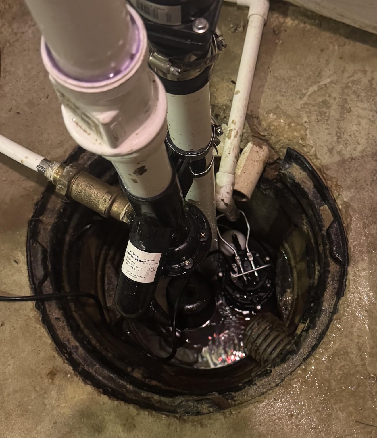 WAYNE CDU980E 3/4 HP Submersible Sump Pump – Cast Iron & Stainless Steel, Vertical Float Switch, 5,490 GPH, 5-Year Warranty customer photo 1
