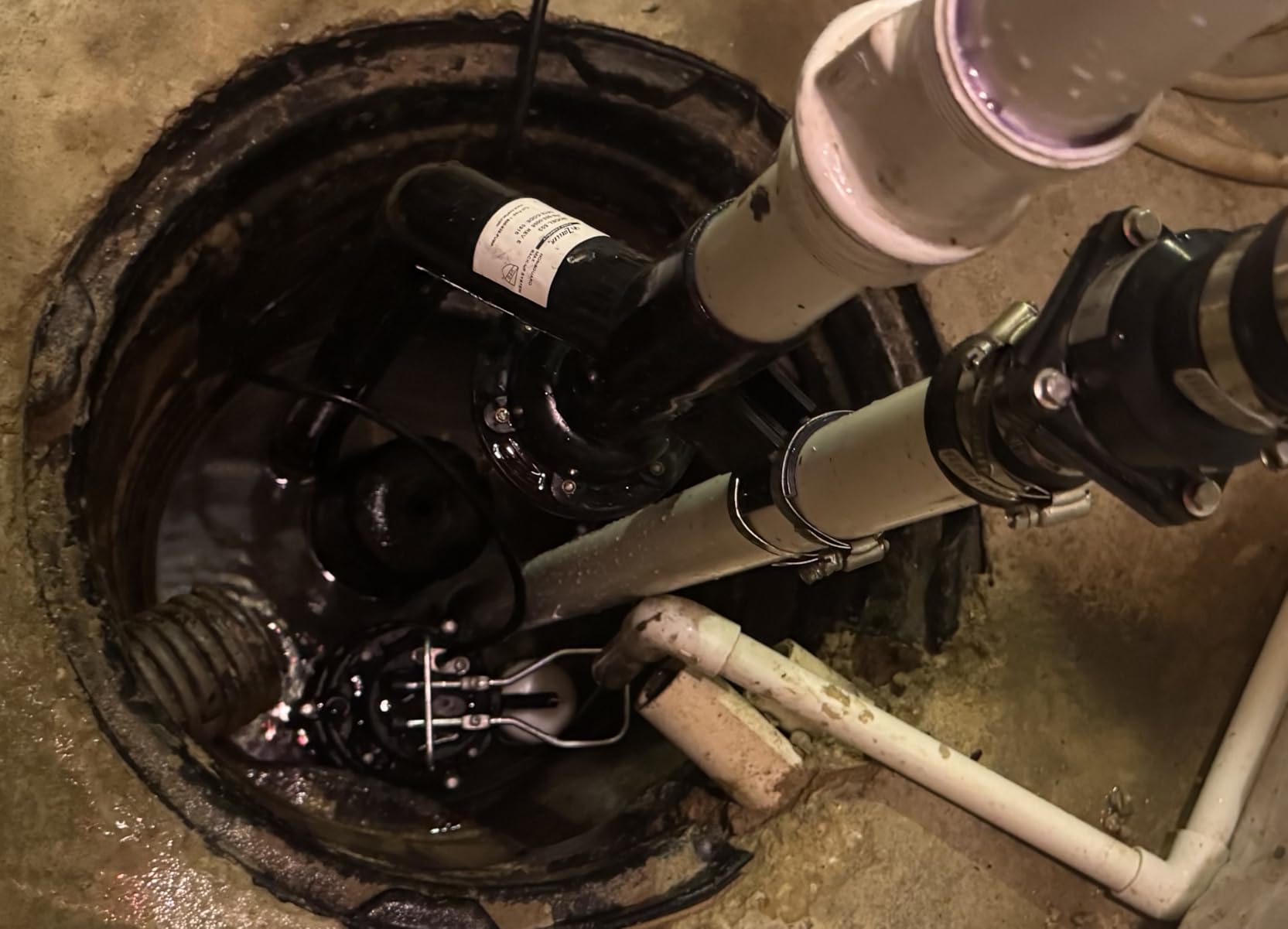 WAYNE CDU980E 3/4 HP Submersible Sump Pump – Cast Iron & Stainless Steel, Vertical Float Switch, 5,490 GPH, 5-Year Warranty customer photo 2