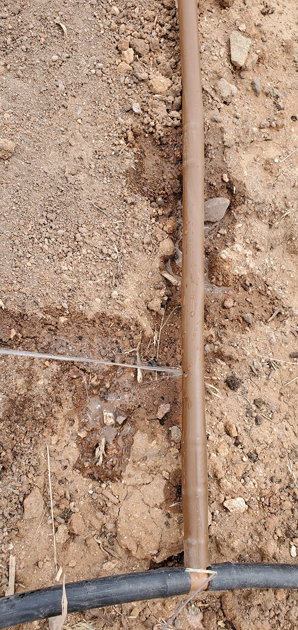 Rain Bird XFD On-Surface Dripline, 0.9-GPH 12