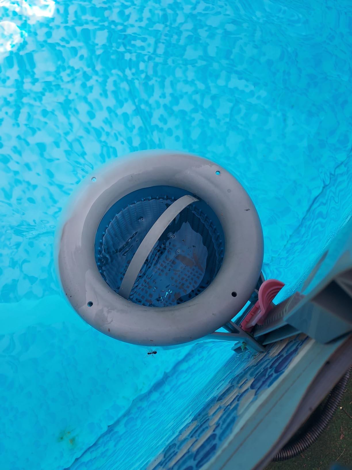 Doheny's 1.5 HP Above Ground Swimming Pool Pump | 115V, 83 GPM (1.2 THP), Stainless Steel Shaft, Reinforced Thermoplastic, Low-Noise, High-Efficiency customer photo 2