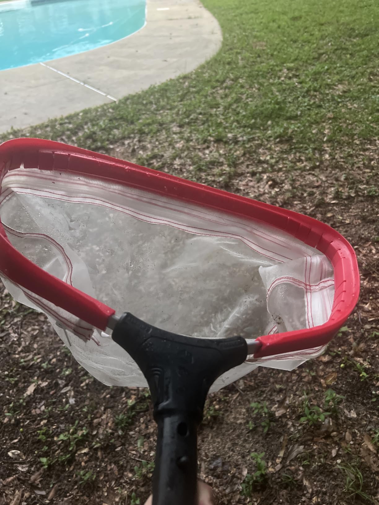 ProTuff 490 Promise 19.5in Pro Pool Leaf Rake Net, Deep Bag Skimmer customer photo 1