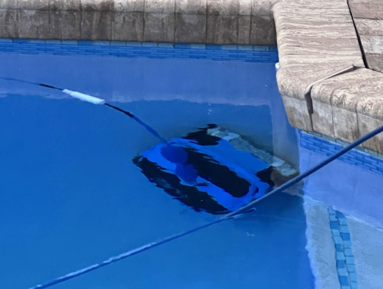 Dolphin Nautilus CC Plus Automatic Robotic Pool Vacuum Cleaner customer photo 2