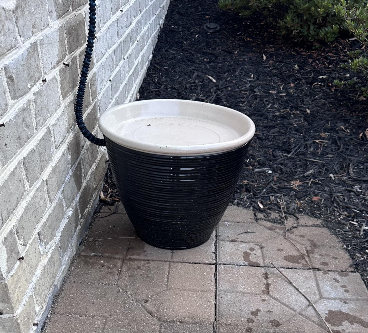 J&B XpandaHose 75ft Expandable Garden Hose, Lightweight, Brass Connectors | Ultra Strong 3750D fabric, 4-layer latex core, expands 3X, kink & leak-resistant, 10-pattern nozzle, storage bag customer photo 2