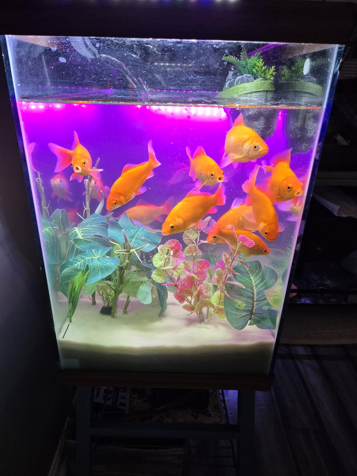Aqueon QuietFlow Canister Aquarium Filter up to 55 Gallons customer photo 2