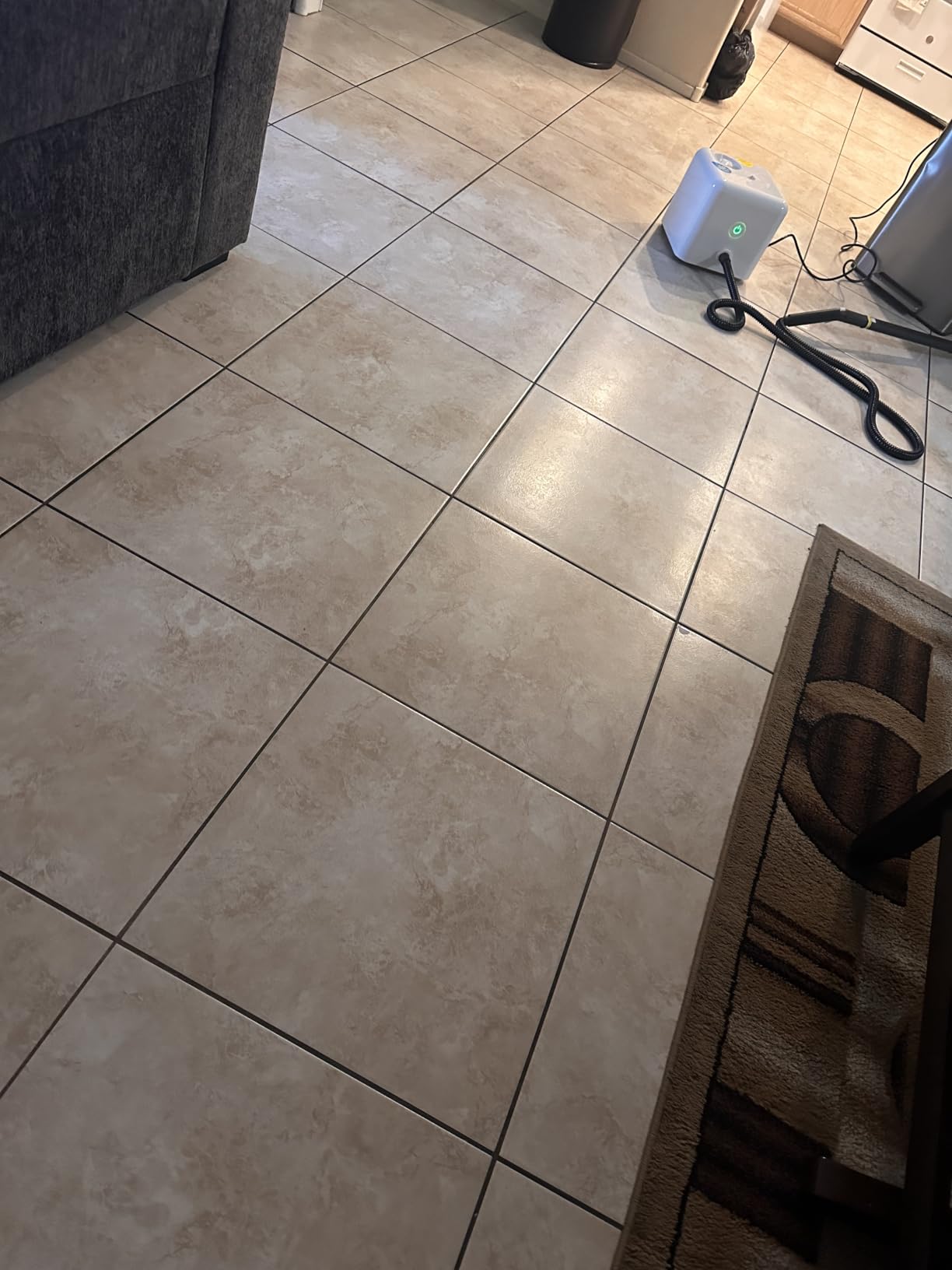 Dupray Neat Steam Cleaner for Home - Essential Pack customer photo 2