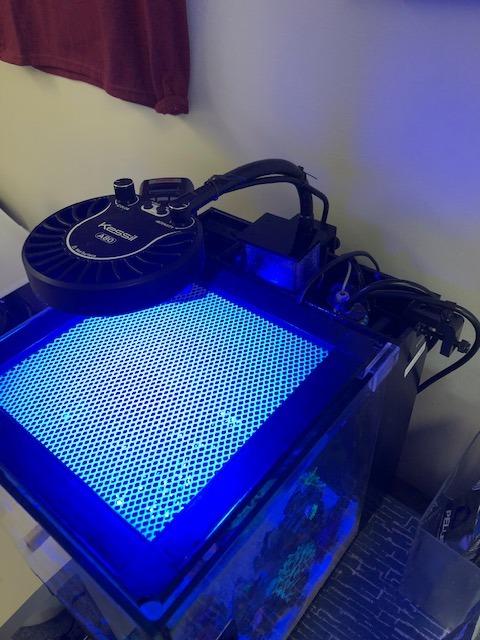 Innovative Marine Nuvoskim DC Protein Skimmer (Desktop) customer photo 2