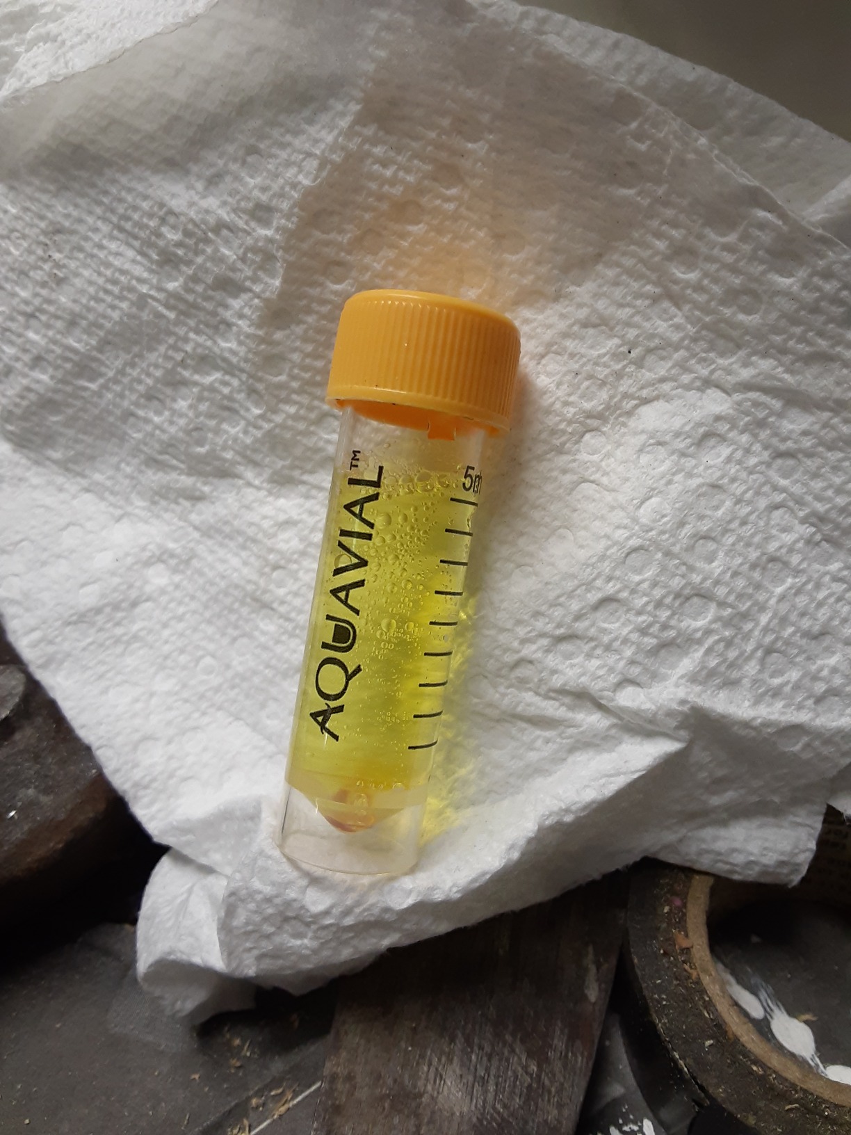 Water Testing Kit 2 Pack - E Coli and Coliform Test for Drinking, Pool, Pond, Lake, Well Quality - Bacteria Tester customer photo 2