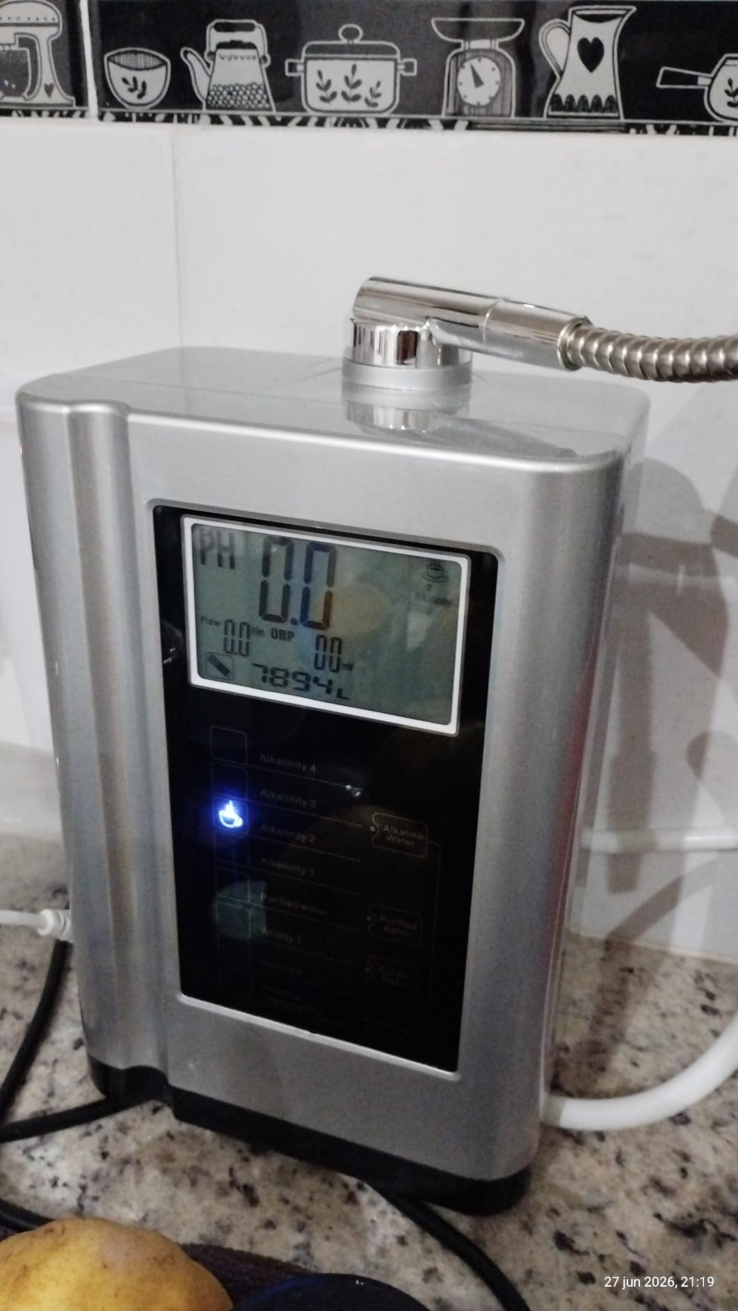 Alkaline Water Ionizer Machine 729, Built-in a Filter, Produces pH 4-10.5 Water, 7 Water Settings, Up to -570mV ORP, 8000L Per Filter, Silver customer photo 1
