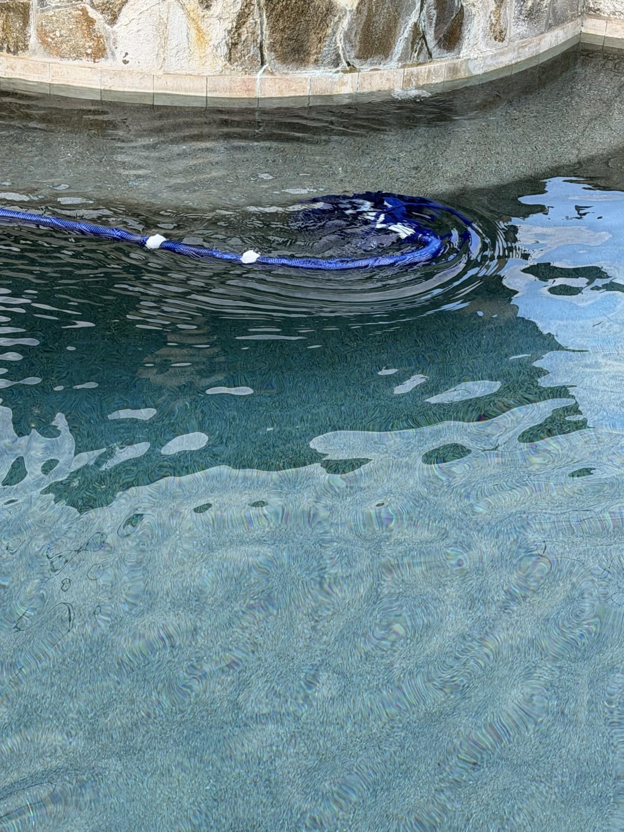 VINGLI Pool Vacuum Cleaner Automatic Sweeper Swimming Pool Creepy Crawler Vacuum with 33FT Hoses customer photo 2