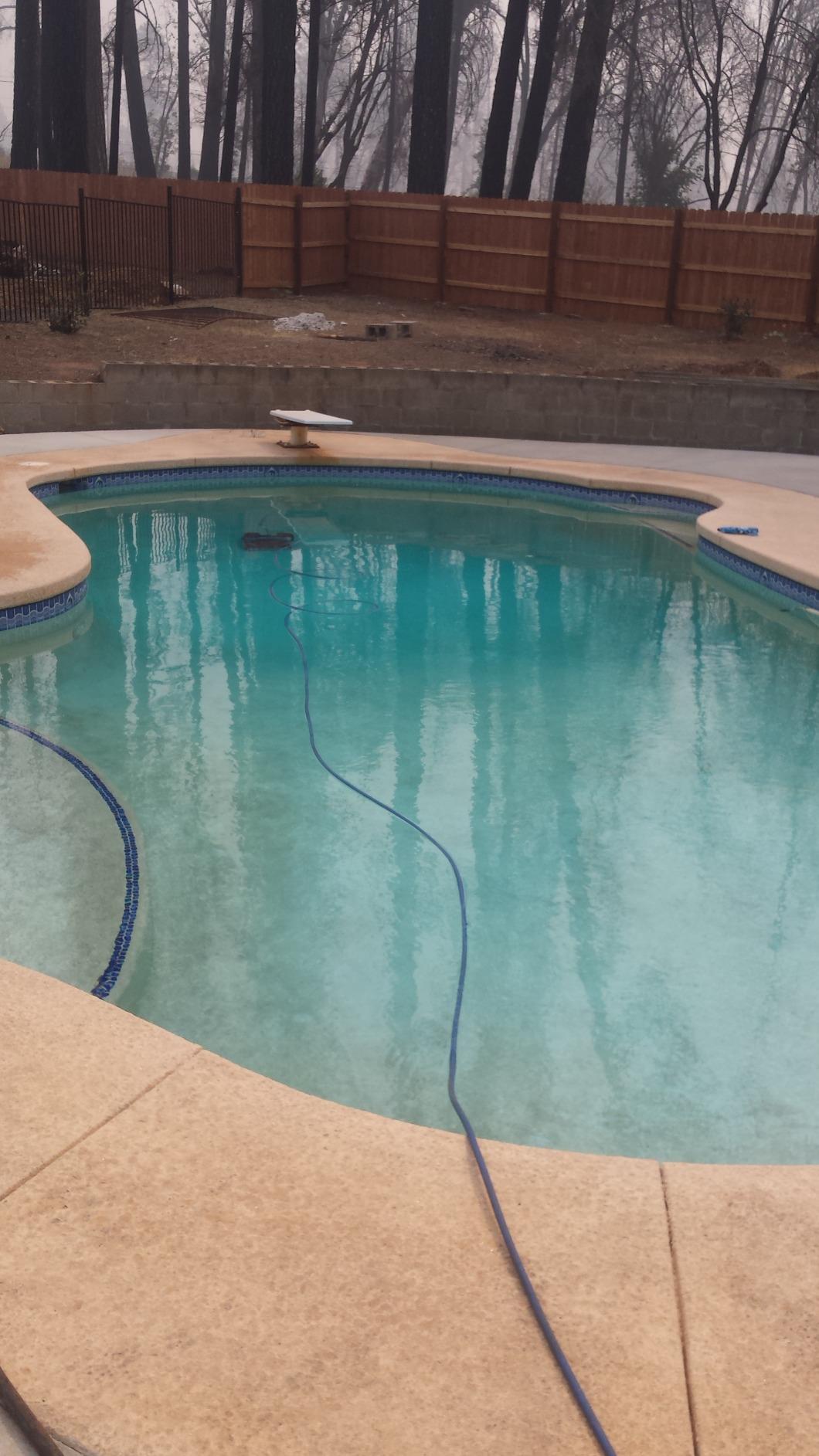 Dolphin Nautilus CC Supreme Wi-Fi Automatic Robotic Pool Vacuum Cleaner, Dual Drive, Waterline Scrubber Brush, Top Load Filter, Ideal for In-Ground Pools up to 50 FT customer photo 1