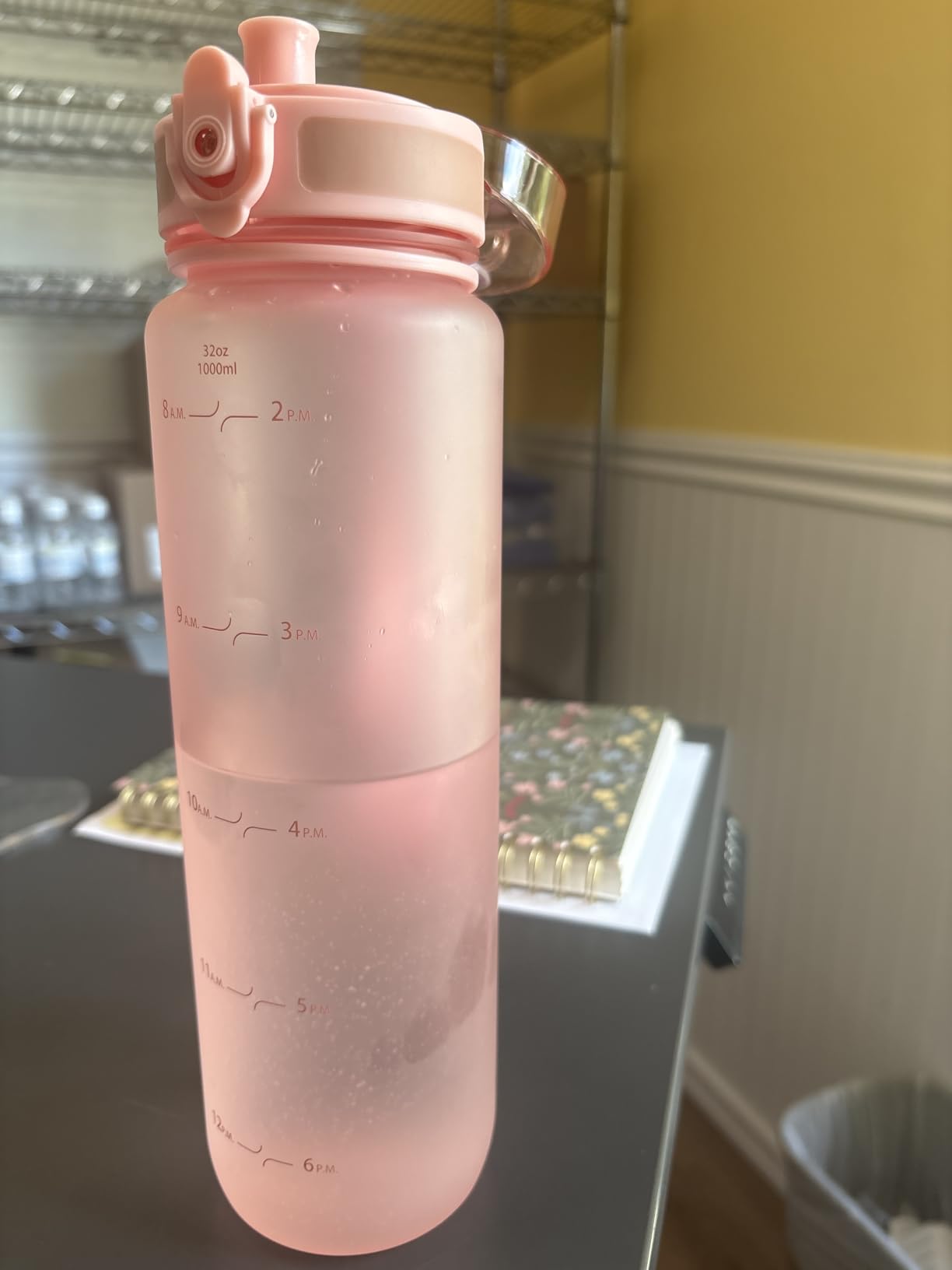 Hydracy Motivational Water Bottle with Time Marker & Fruit Infuser 32 oz, BPA-Free Tritan, Leakproof Flip-Top Lid, No-Sweat Sleeve, Carry Strap customer photo 1