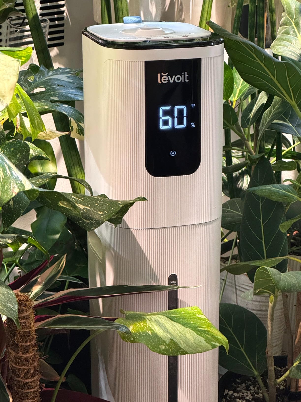 LEVOIT LV600S Smart Warm & Cool Mist Humidifiers for Home Bedroom Large Room | 6L 753ft2 Coverage, Quickly & Evenly Humidify Whole House, Easy Top Fill, Smart Sensor, App & Voice Control, Quiet Sleep Mode customer photo 1