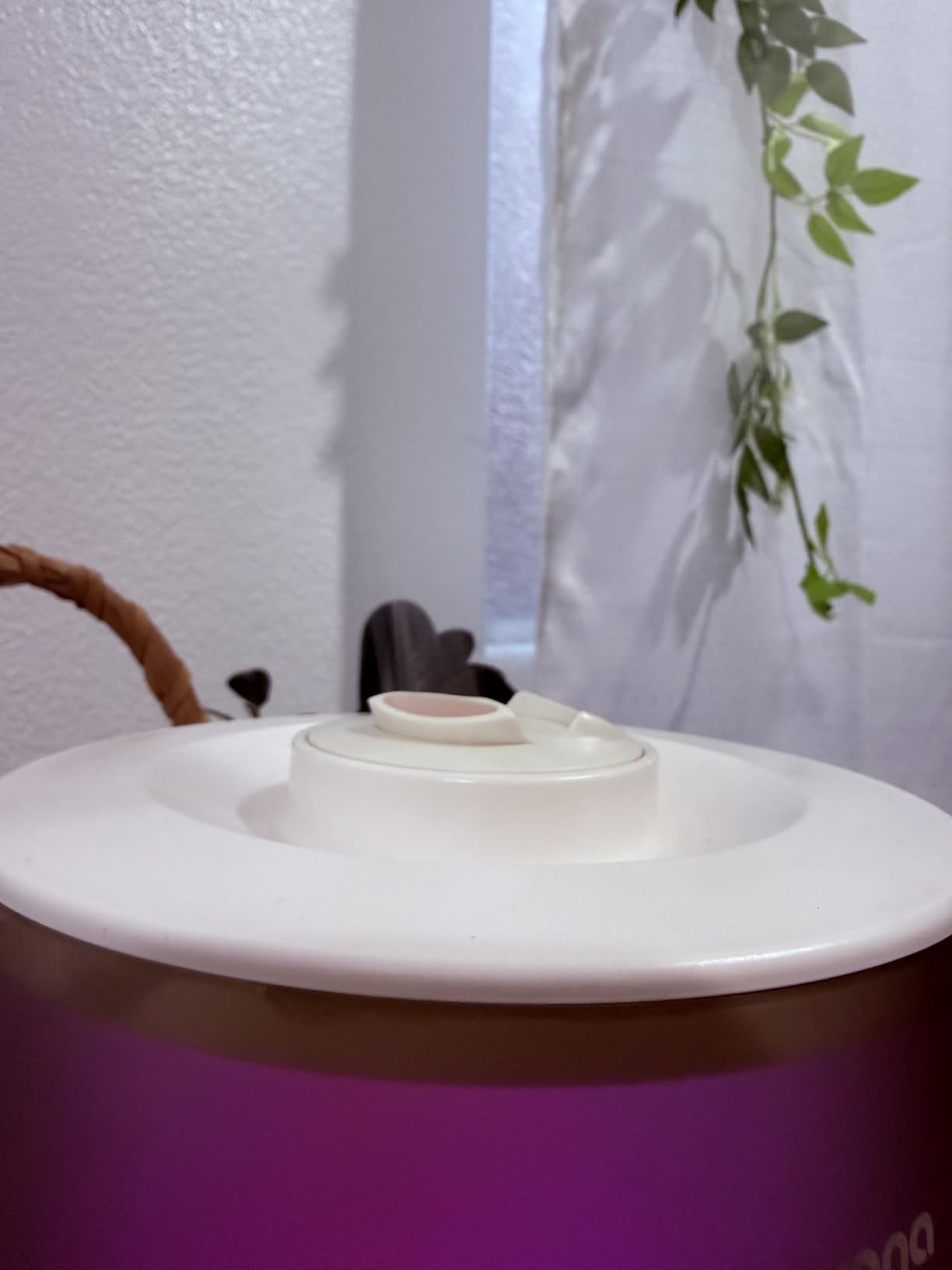 Homvana 3.6L Top-Fill Cool Mist Humidifiers for Bedroom, Large Room & Plants, 23dB Ultra-Quiet, Easy-to-Clean 2-in-1 Baby Humidifier & Oil Diffuser for Congestion Relief, Lasts Up to 4 Nights (Grey) customer photo 2