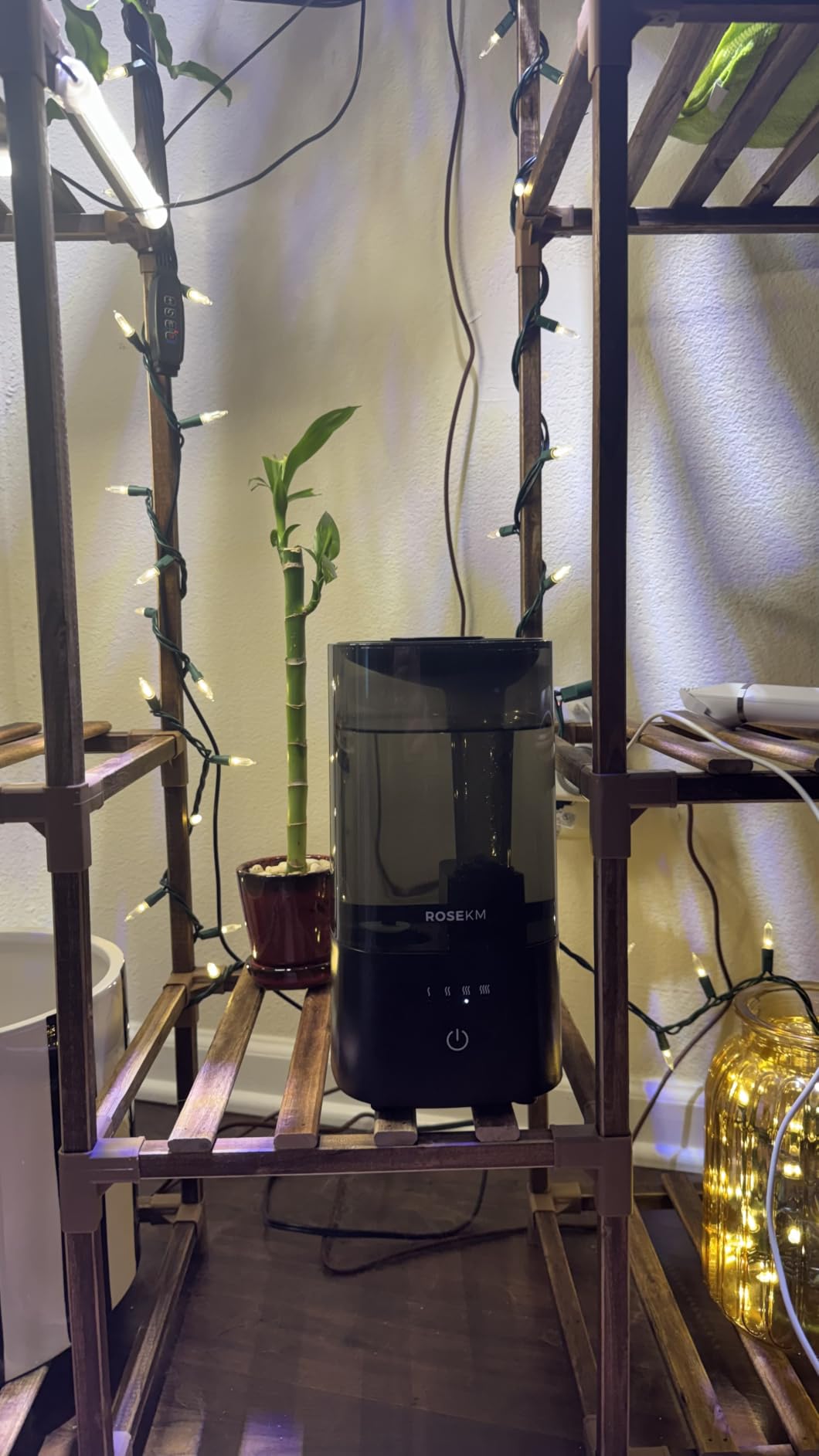 ROSEKM Humidifiers for Bedroom, 2.0L Cool Mist Humidifier for Home Plant and Baby Nursery, Quiet Ultrasonic Humidifier with 360° Nozzle, Auto Shut-Off, Filterless, Black customer photo 2