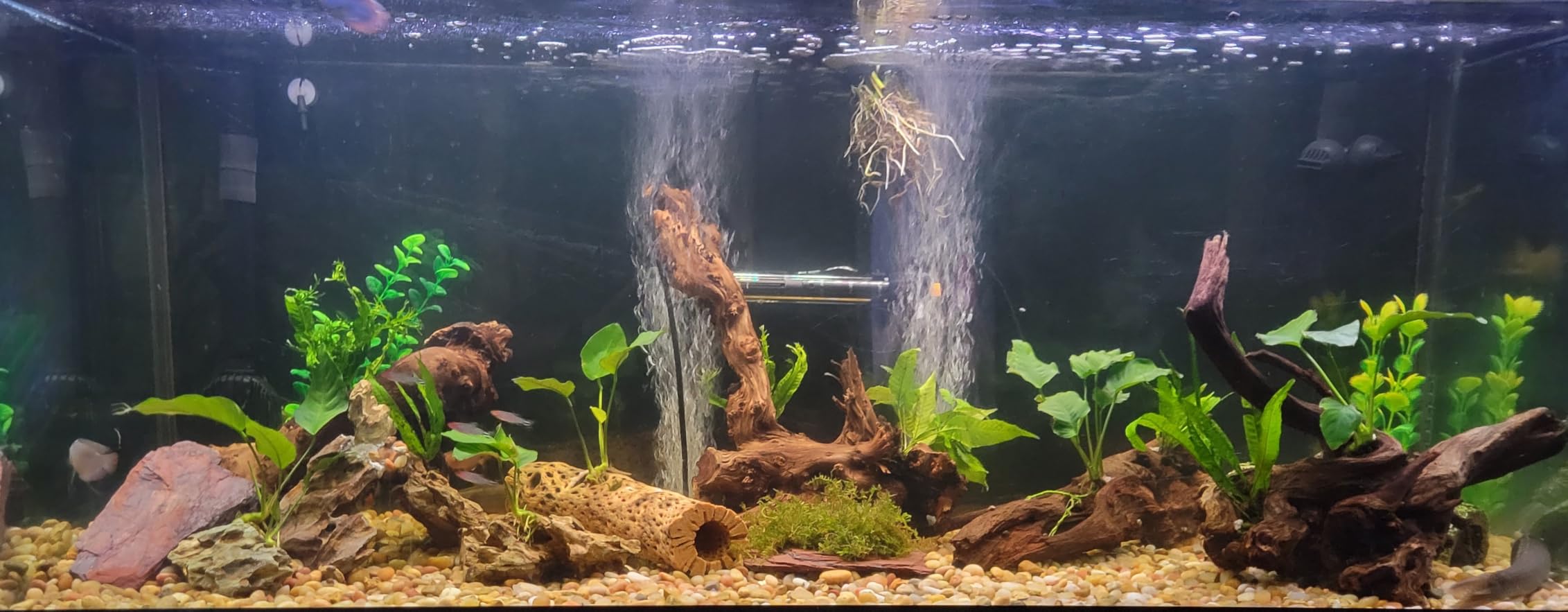 Fluval FX2 High Performance Canister Aquarium Filter - Multi-Stage Filtration, Built-in Powered Water Change System, and Basket-in-Basket Tray Design customer photo 1