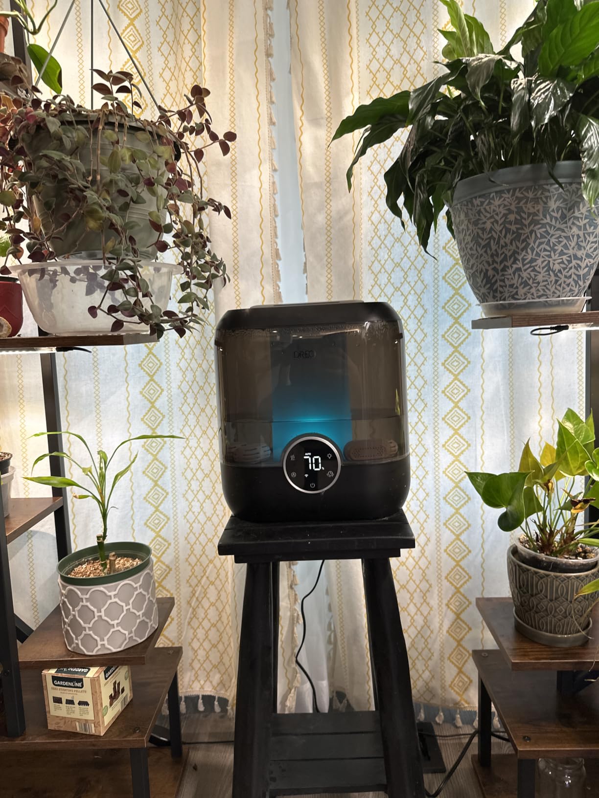 DREO Smart Humidifiers for Bedroom, 6L Top Fill Supersized Cool Mist Humidifier for Large Room, 60 Hour Runtime, Quiet Ultrasonic Humidifier for Plants, Indoor, Home, Night Light, Black customer photo 1