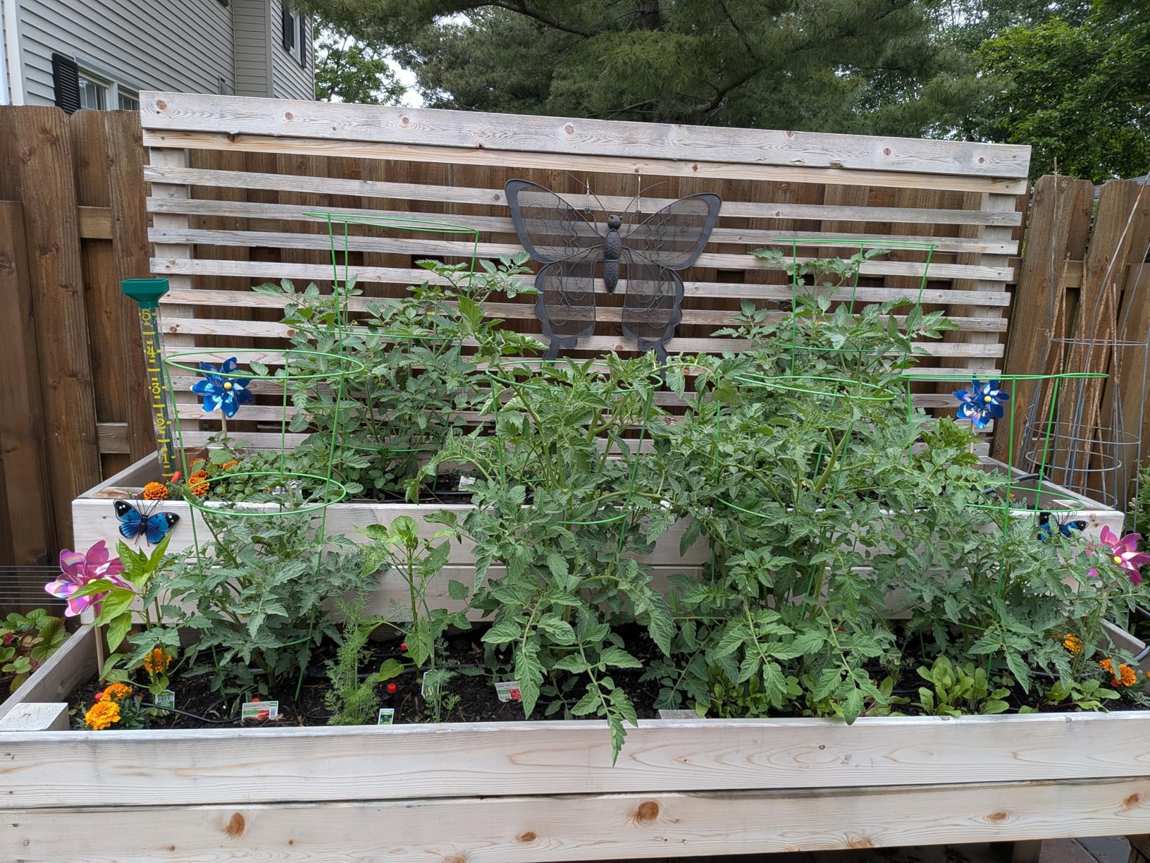 240FT Drip Irrigation System Kits - Automatic Garden Watering Sprinkler with 1/2 & 1/4 inch Tubing Hose customer photo 2