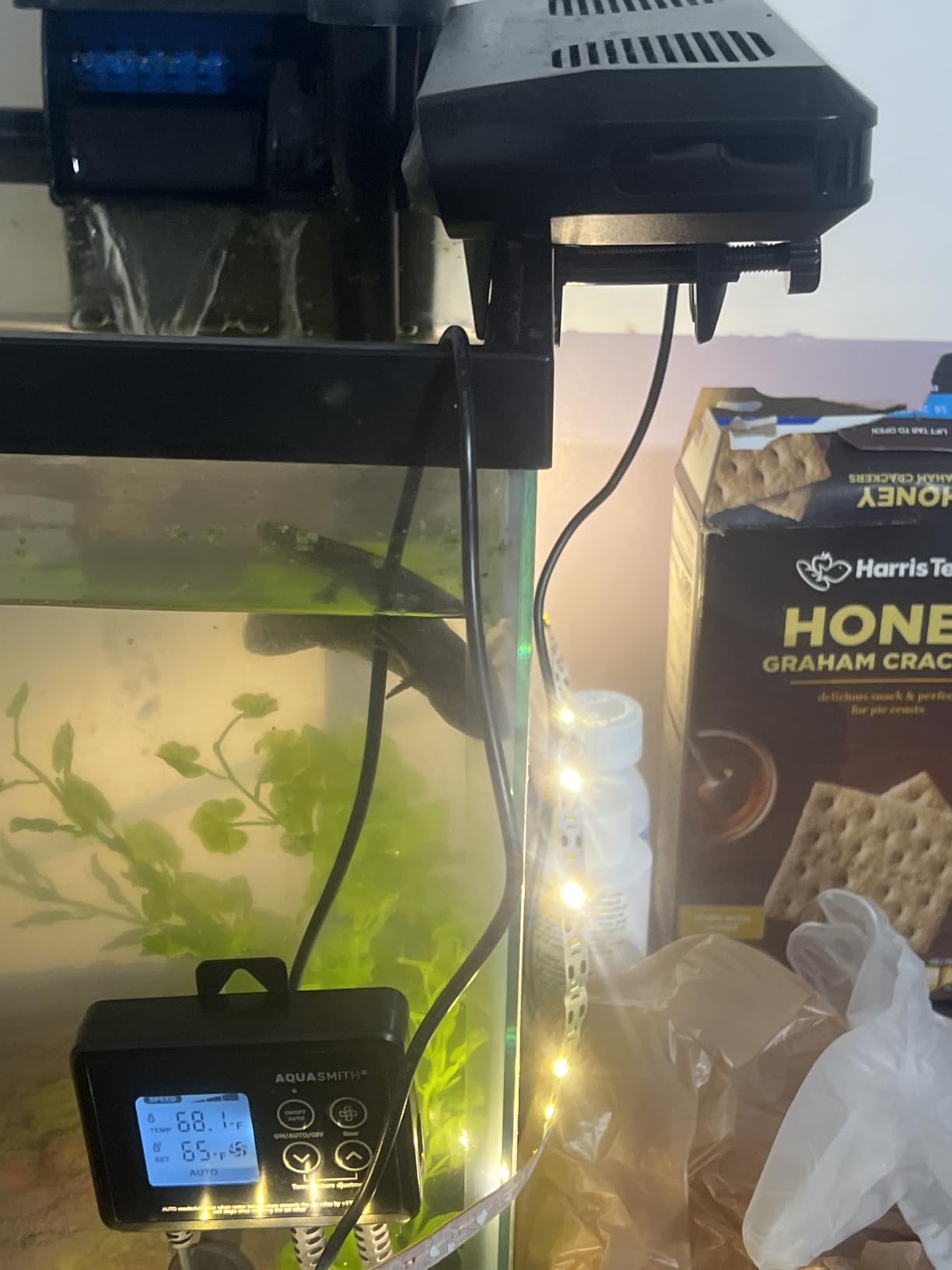 AQUASMITH Aquarium Chiller Fan, Fish Tank Cooler with Temperature Control customer photo 1