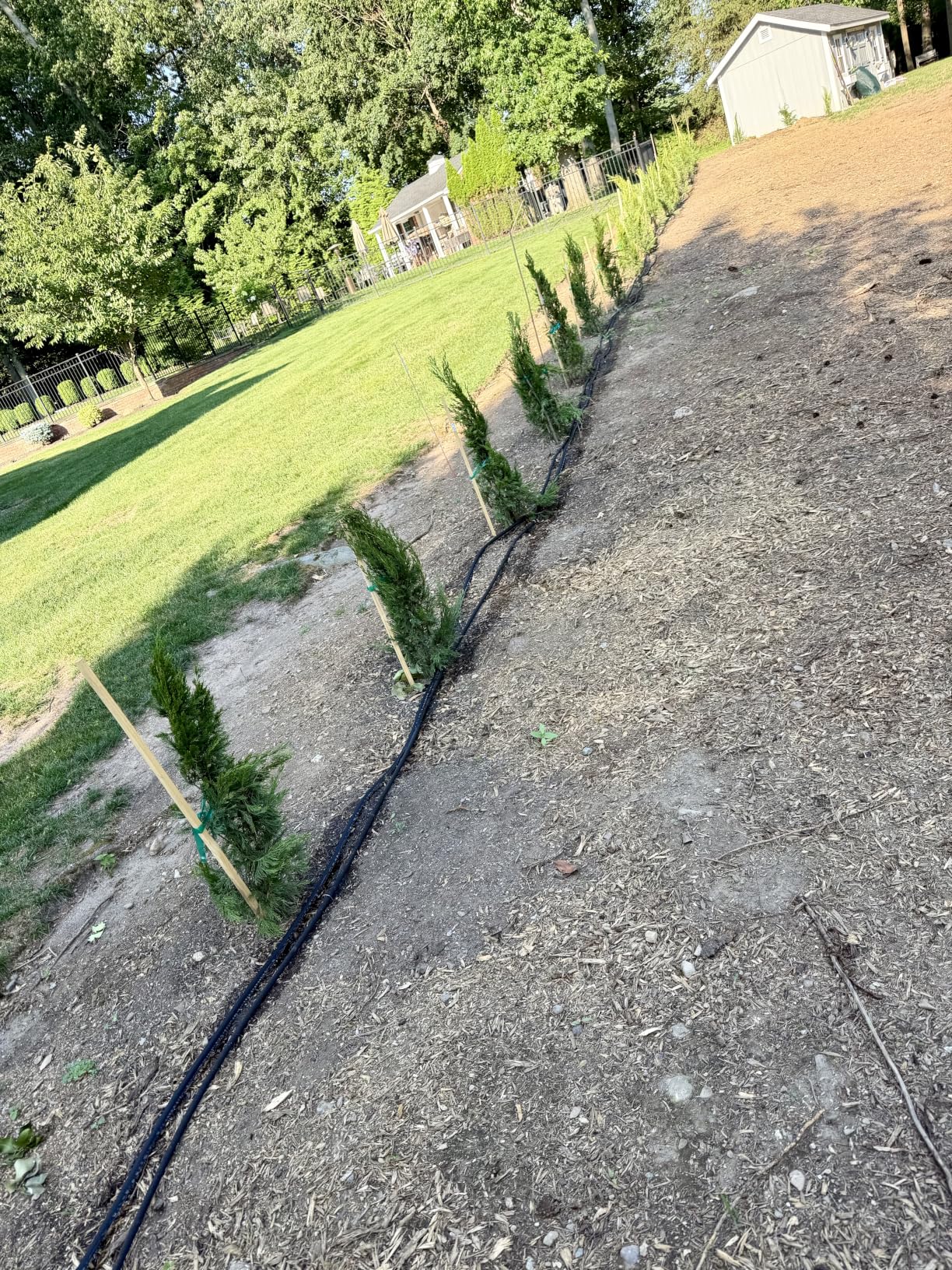 MIXC 2026 Thickened Flat Soaker Hose 100Ft with Copper Joint, Saving 80% Water, Aluminum Seal, 1mm Hose, 360°Swival Handle, Hole Pressure Relief Gasket, Drip Kit for Vegetable Garden, Lawn, Flower Bed customer photo 2