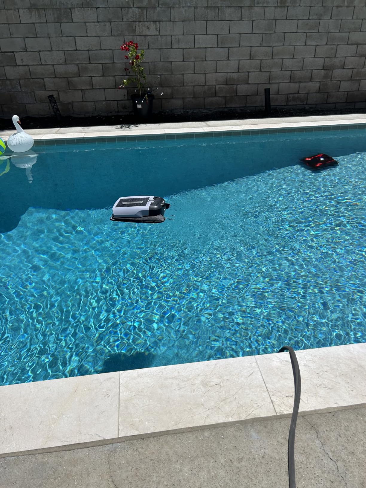 Betta Flex Solar-Powered Robotic Pool Skimmer - Cordless with Dual Cleaning Modes, Soft-Touch Pool Protection. Compatible with Infinity Edge, In-Ground & Above-Ground Pools (Blue) customer photo 2