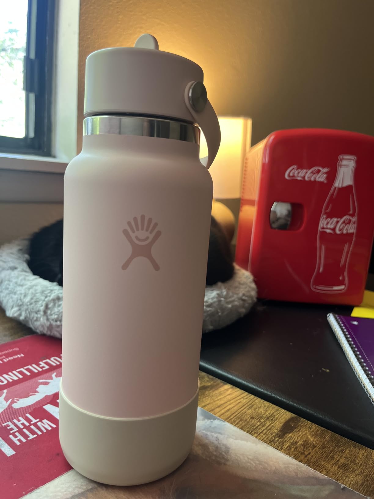 Hydro Flask Water Bottle - Insulated Stainless Steel - Wide Straw Lid, Non Spill, Leakproof in 24 Oz Harbor Blue customer photo 1