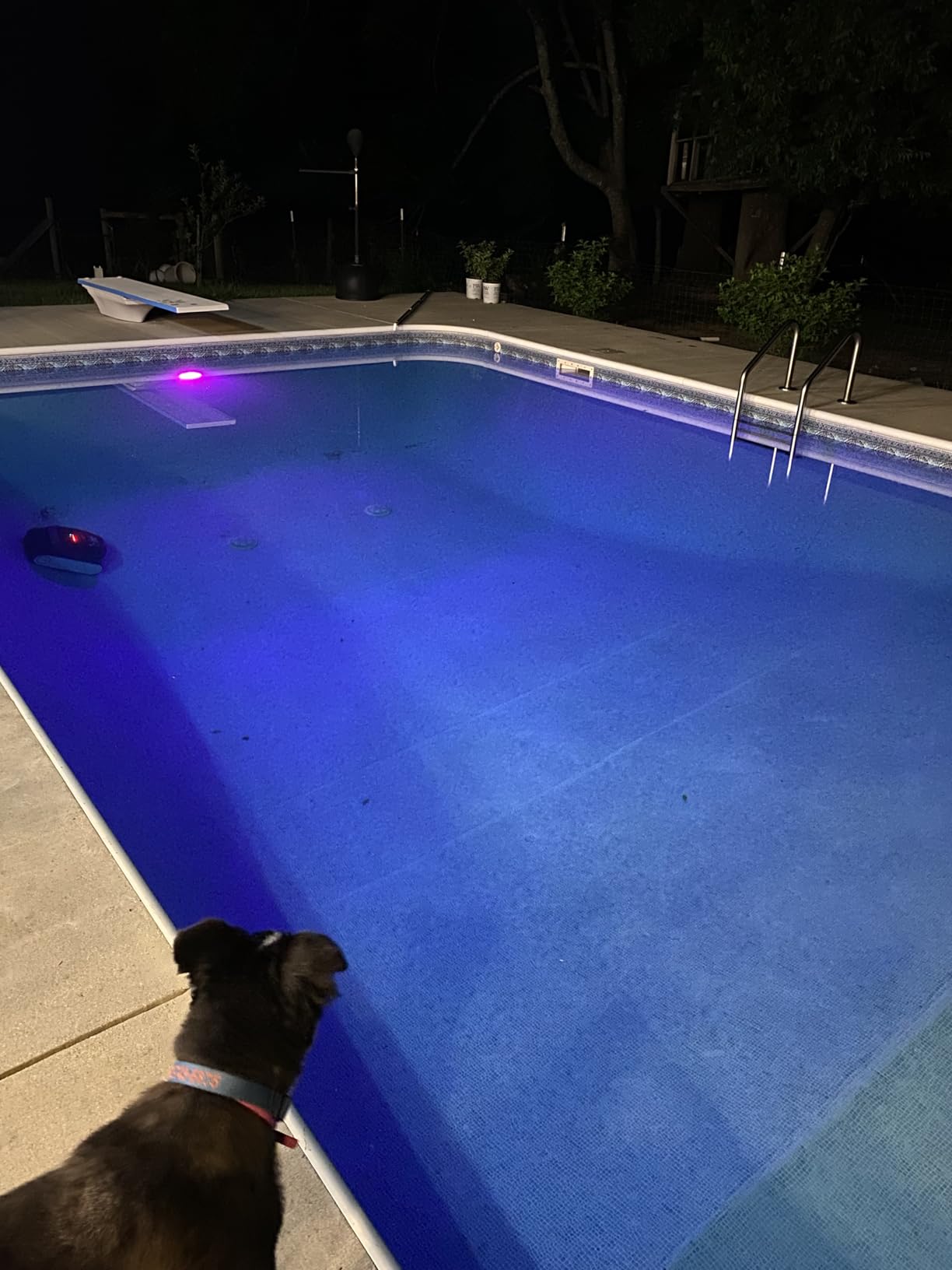 AIPER Scuba X1 Cordless Pool Robot with Powerful Suction, Double Filtration and Wireless Charging Dock, Floor/Wall/Waterline Cleaning, 185 Mins Runtime for Above & In-Ground Pools, Dark customer photo 2