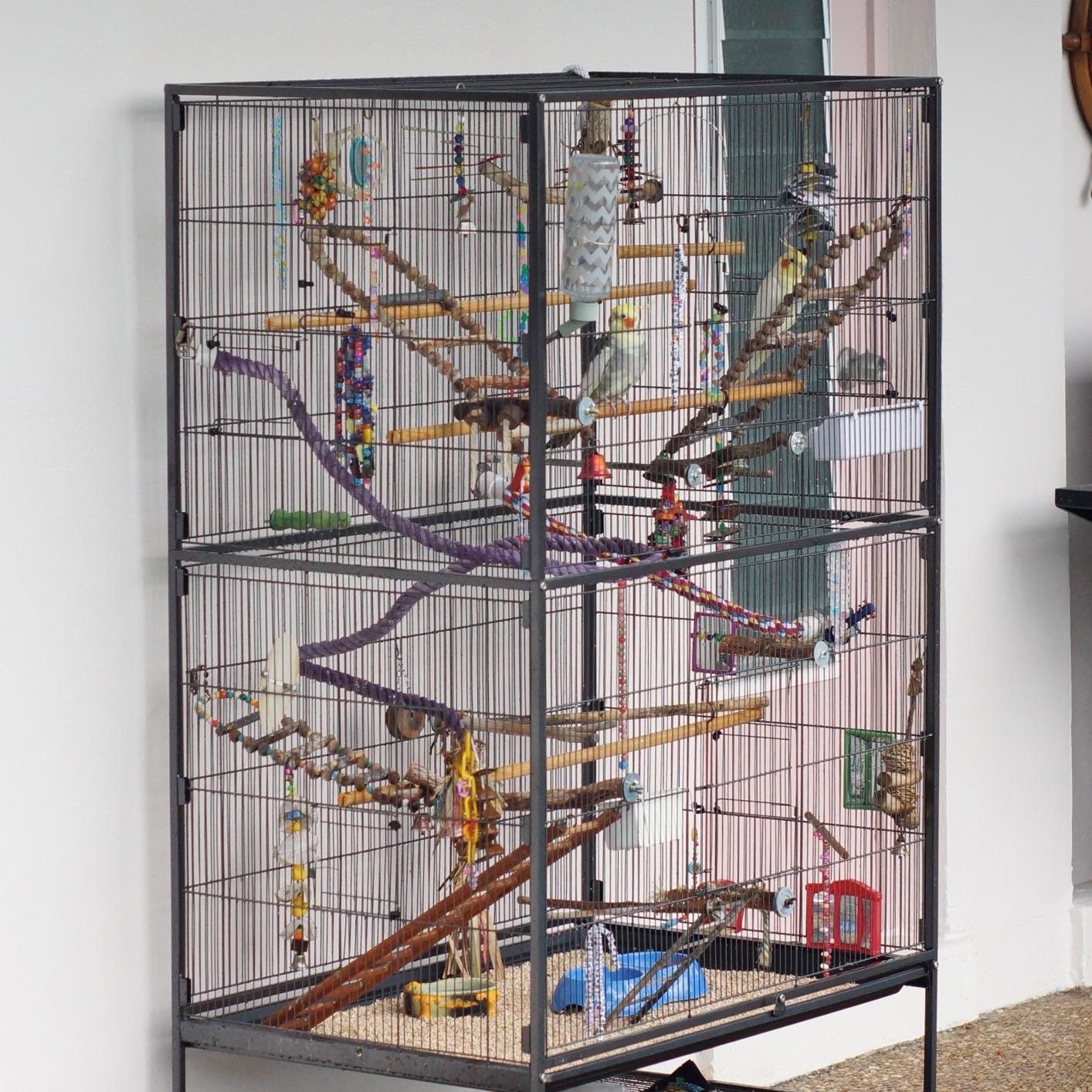 Prevue Hendryx Pet Products Wrought Iron Flight Cage - Big Rolling Bird Cage for Parakeets, Cockatiels, Conures, Lovebirds, Canaries, Finches, Parrotlets, & Caiques, 5 Ft - X-Large, Hammertone Black customer photo 2