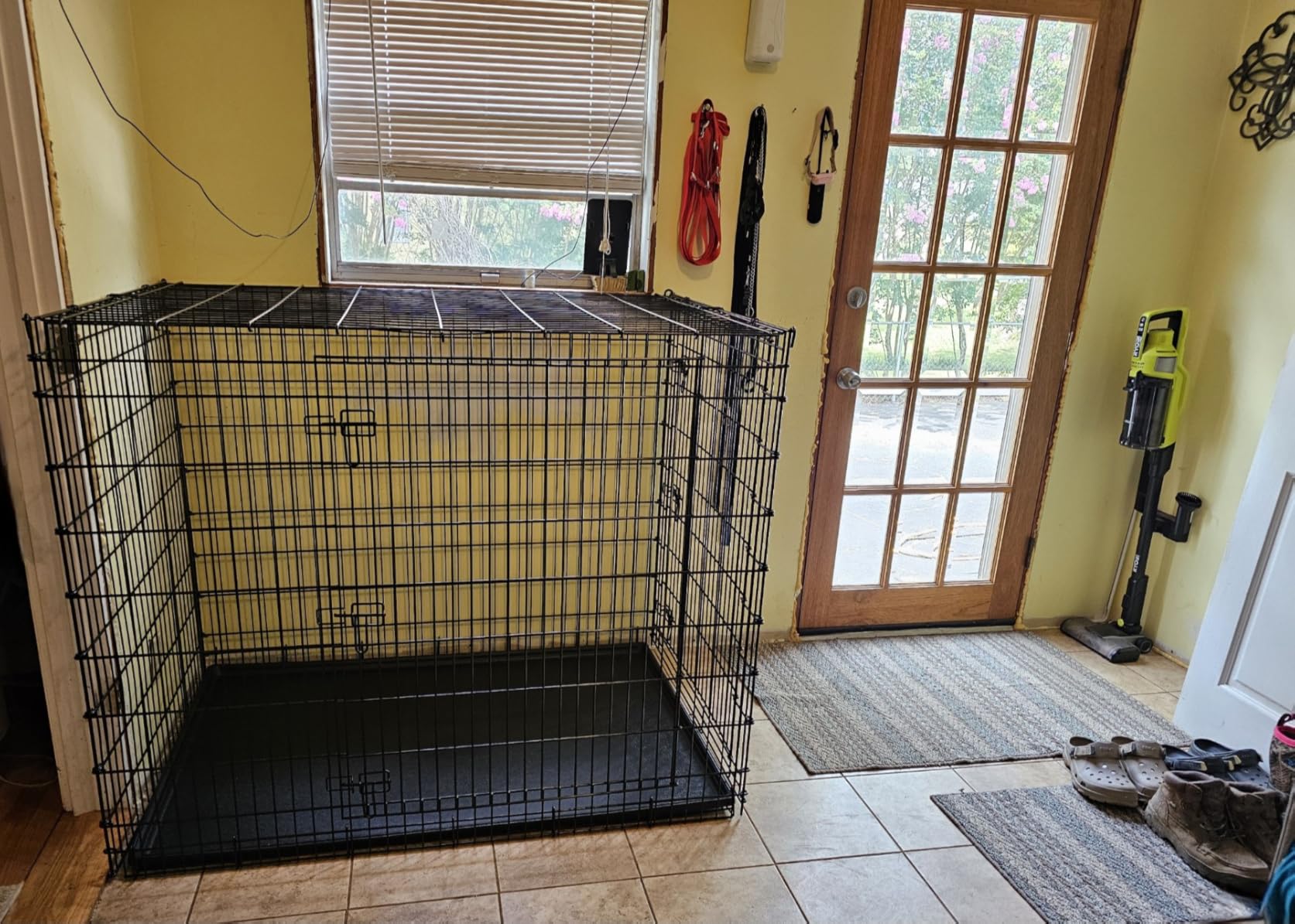Midwest 42-Inch Double Door iCrate, for Large Breeds, 71-90 lbs | Folding Dog Crate with Divider Panel, Leak-Proof Tray & Secure Latches, Portable, Durable & Easy to Assemble customer photo 2