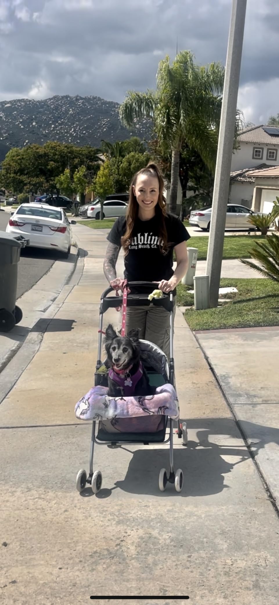 BestPet Foldable Pet Stroller for Small/Medium Dogs and Cats Up to 33 lbs | 4-Wheel Stroller Pet Strolling Cart w/ Breathable Mesh, Lockable Rear Wheels, Cup Holder/Tray & Storage Box, Blue customer photo 2