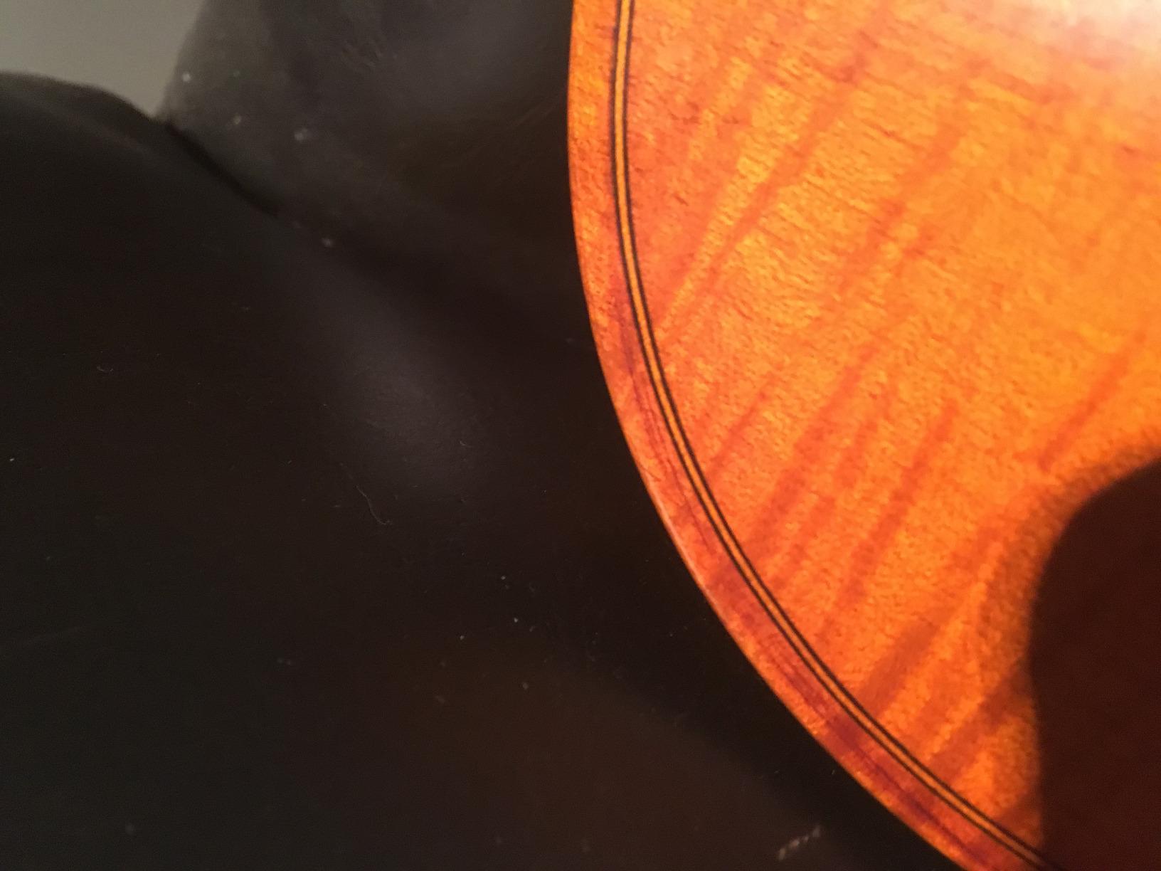 Cecilio Solid Wood Viola 15.5 Inch Viola Full Size, Professional Handcrafted Acoustic Viola with Ebony Fittings, Antique Satin Finish customer photo 2
