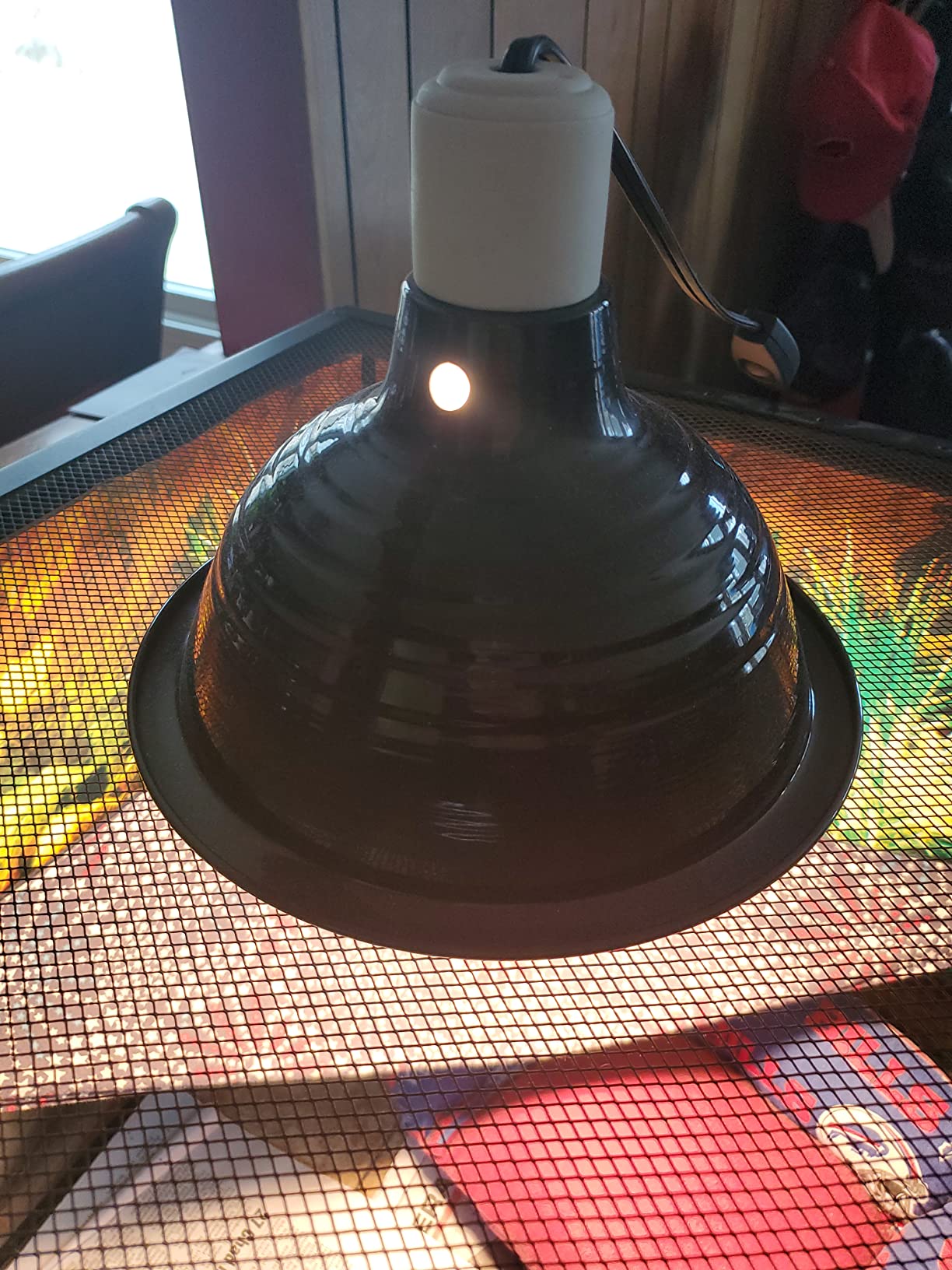 Zilla Premium Reflector Dome Reptile Heat Lamp Fixture, 8.5 Inches customer photo 1