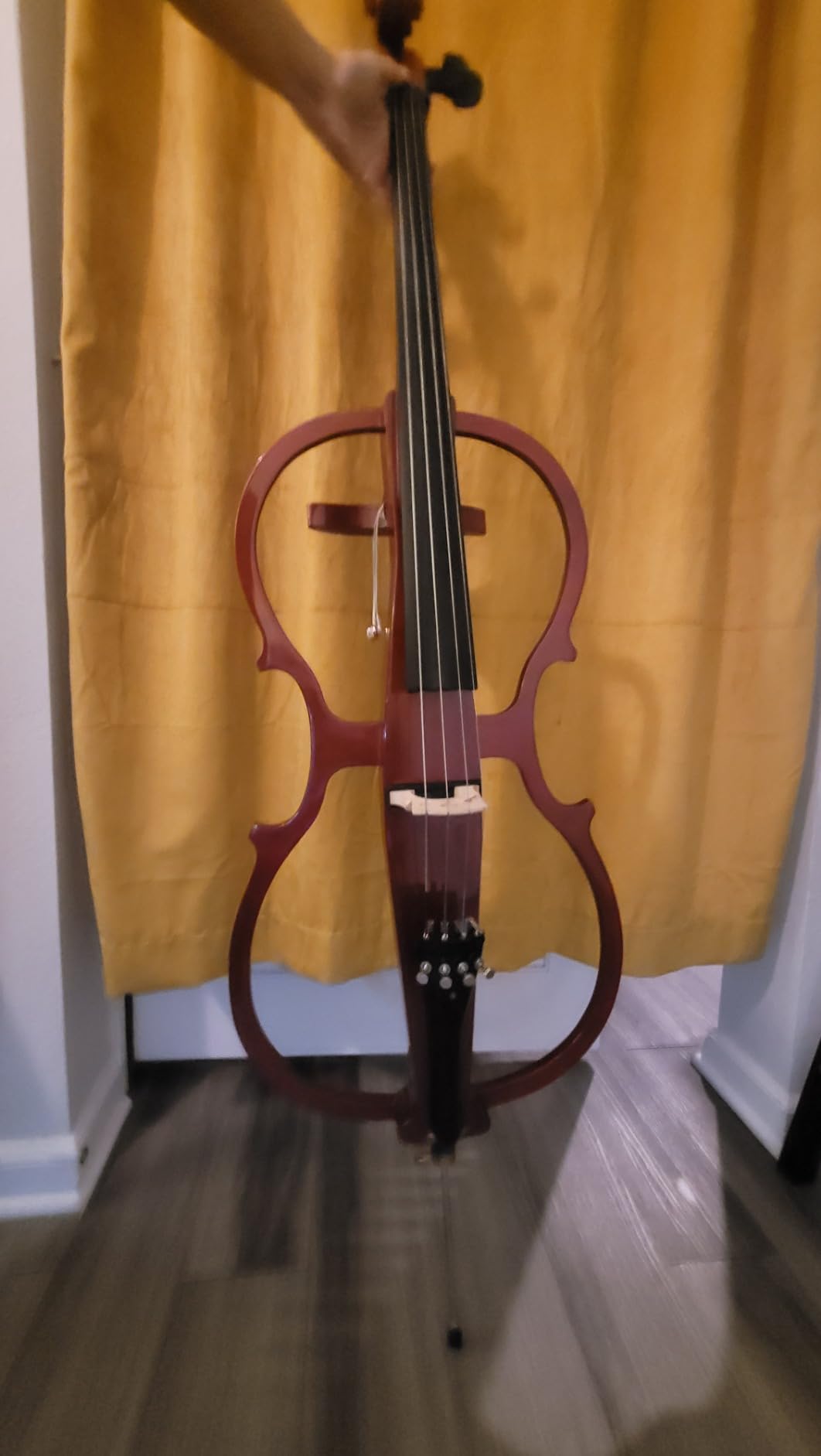 Cecilio 4/4 Silent Electric Cello with Ebony Fittings, Black Metallic customer photo 1