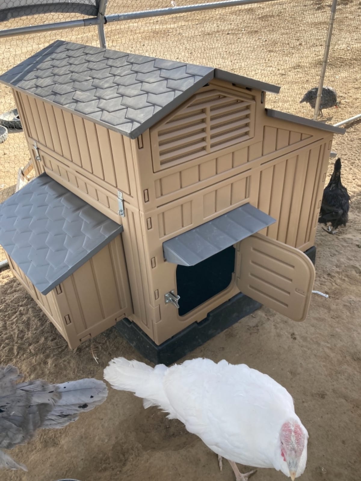 Formex Snap Lock Large Chicken Coop Backyard Hen House 4-6 Large 6-12 Bantams customer photo 2