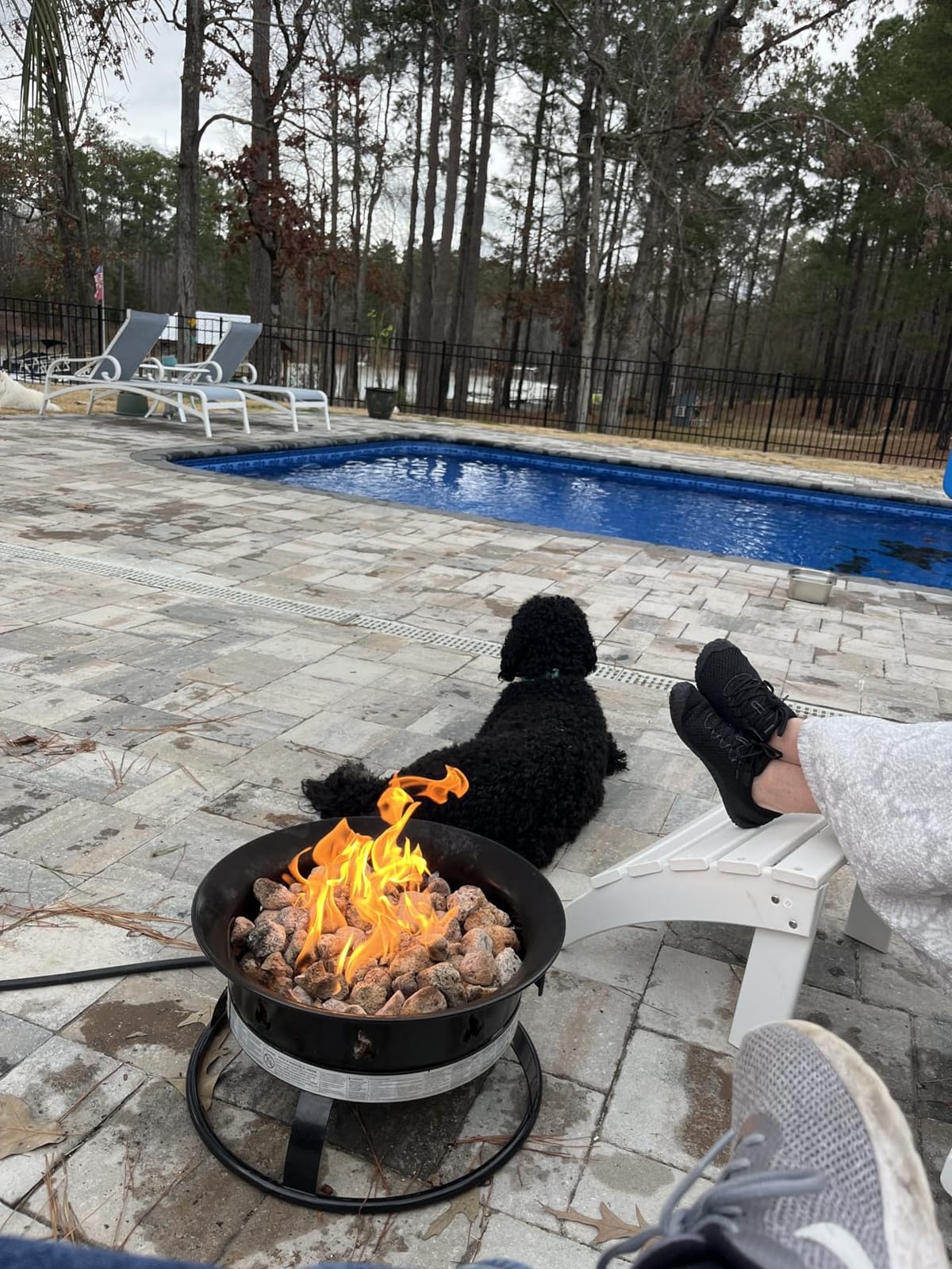 Outland Living Portable Propane Fire Pit, 19-inch, 58,000 BTU with Fire Pit Cover & Carry Kit, Smokeless Gas Firebowl | 893 Deluxe customer photo 1