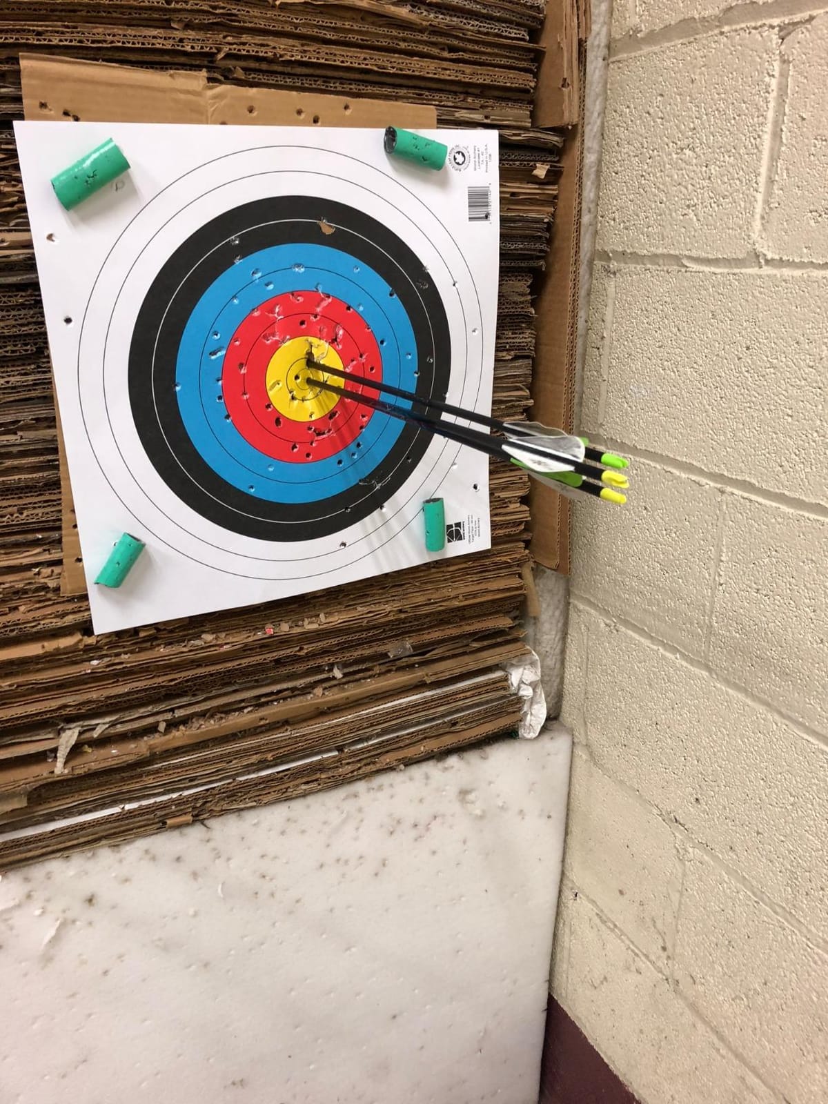 Genesis Gen-X Lightweight Compound Bow, Archery Hunting Bow for Adults w/Adjustable Riser, Cam Draw Weight, & Length, Draw Hand - Right, Black customer photo 1