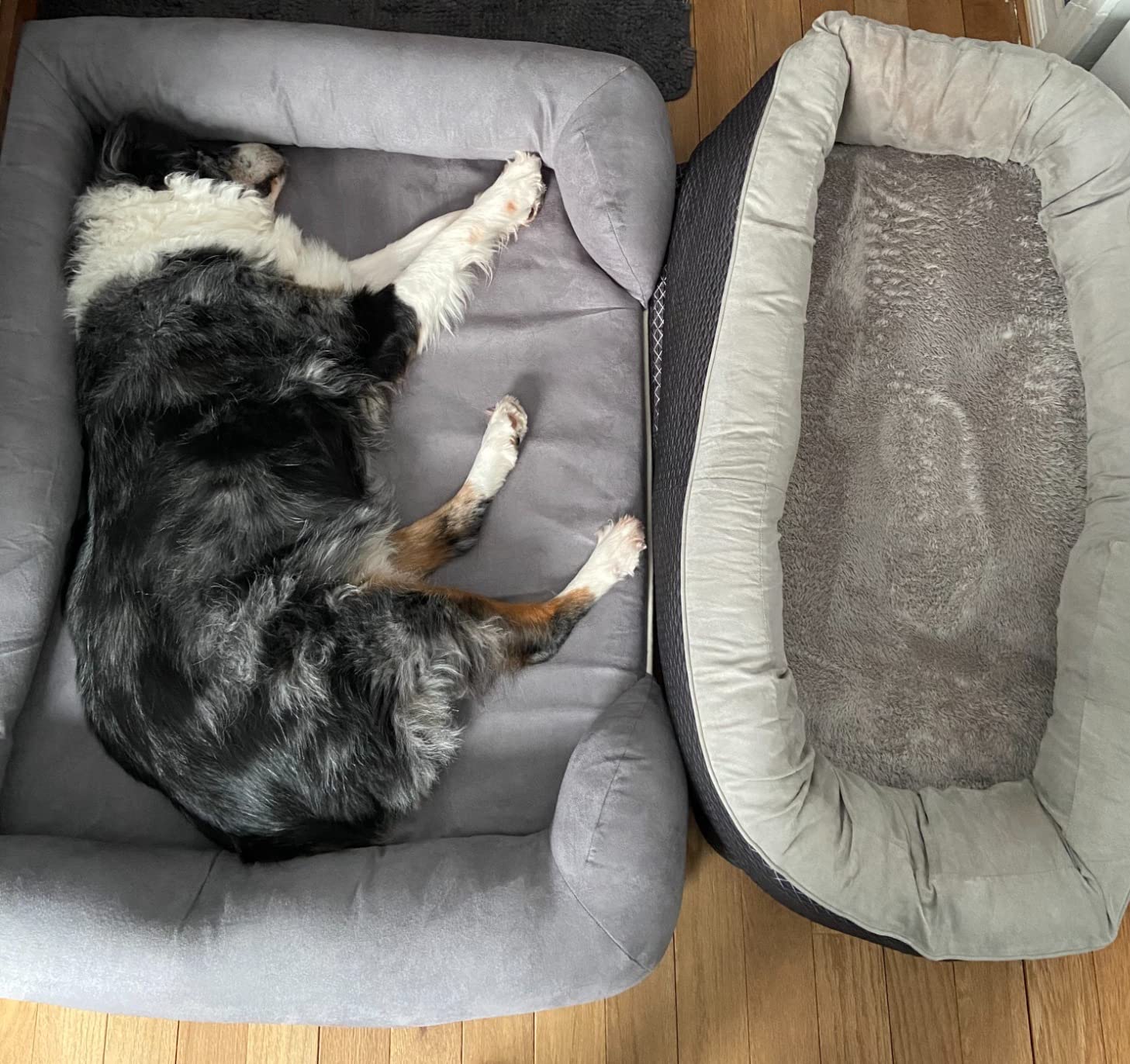 Friends Forever Large Dog Bed Couch, Orthopedic Pet Sofa Memory Foam | Dog Couch with Washable Removable Bed Cover, Non-Slip Bottom, Indoor Calming Chairs Mattress, Chester, Pewter Grey Large customer photo 2
