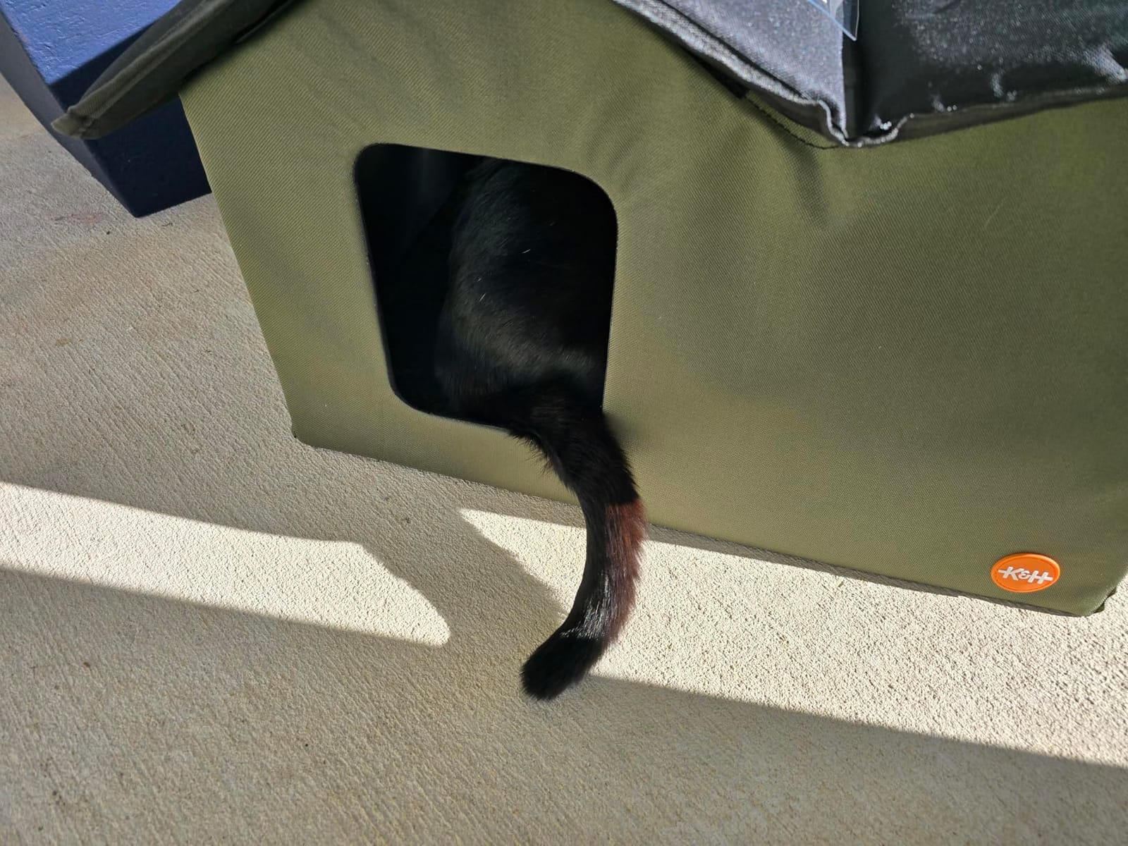 K&H Heated Cat House, Outdoor Extra-Wide Kitty House, Safety Listed, 20W | Heated Cat House for Outside, Weatherproof Shelter for Ferals, Insulated Shelter, 2 Doors, Waterproof Kitty Bed, Olive customer photo 2