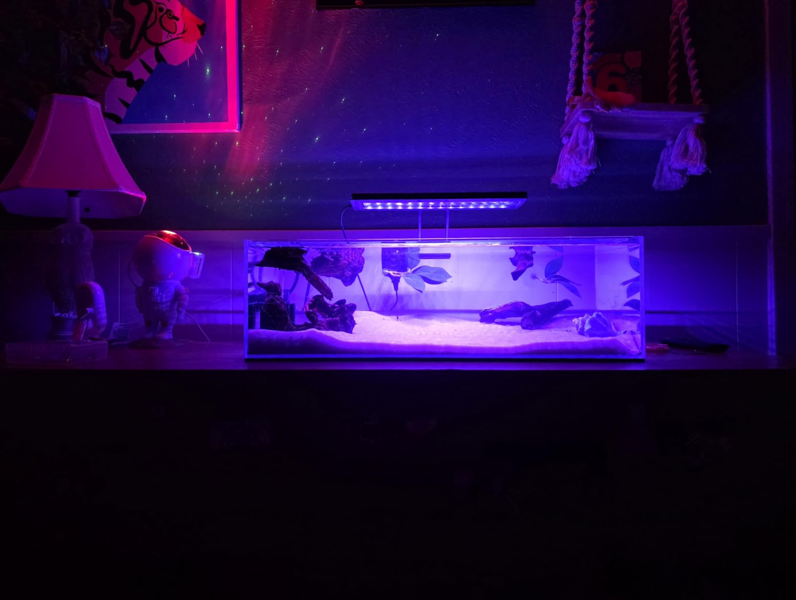 LANDEN Aquarium 100P 50 Gallon Ultra Clear Glass Rimless Fish Tank, 39.4x17.7x17.7in, 10mm Low Iron Glass, Leveling mat Included customer photo 1