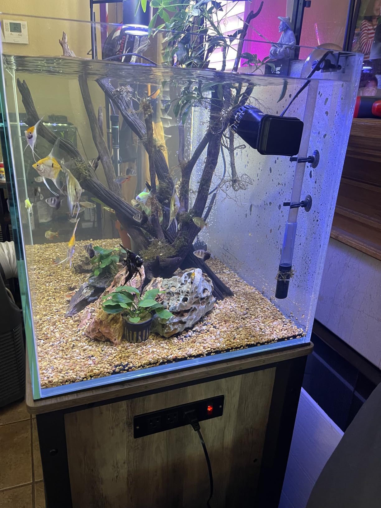 LANDEN 90P 55 Gallon Rimless Low Iron Aquarium Tank, W35.4xD19.7xH19.7 in, 10mm Thickness with Black Nano Foam Leveling mat Included customer photo 2