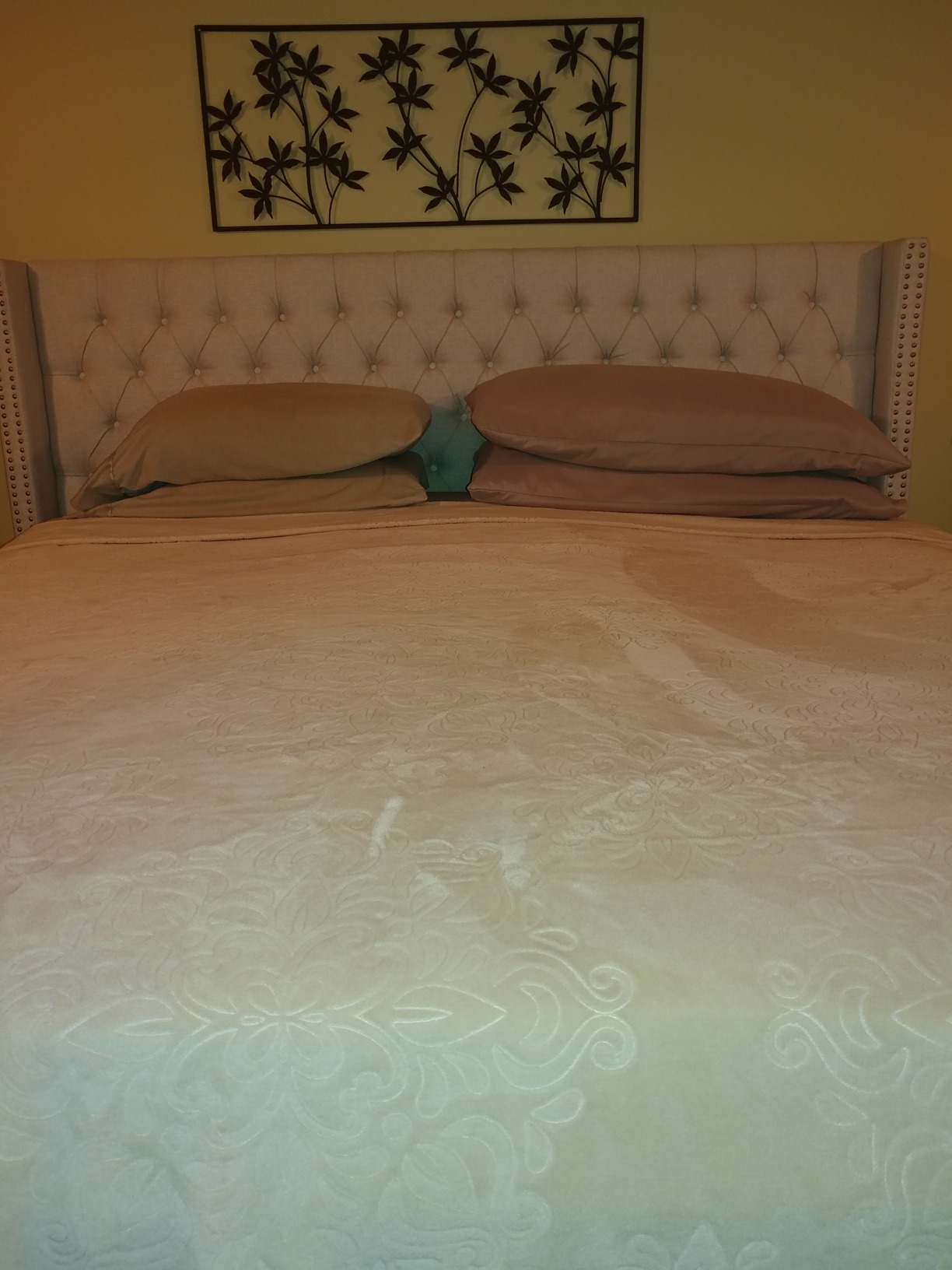 Madison Park Amelia Upholstered Headboard | Nail Head Trim Wingback Button Tufted | Queen, Cream customer photo 2