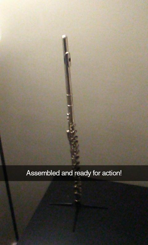 Mendini by Cecilio 16 Keys Closed Hole C Flute Kit for Beginners - Nickel with Case, Stand, Lesson Book, Cleaning Kit customer photo 1