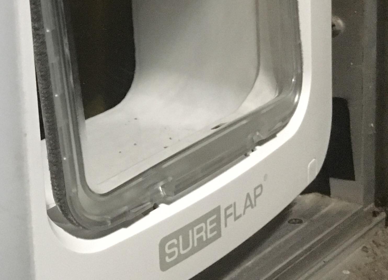 SureFlap Microchip Pet Door Connect Without Hub - Flap Opening is 6 3/4 inches by 7 inches customer photo 1