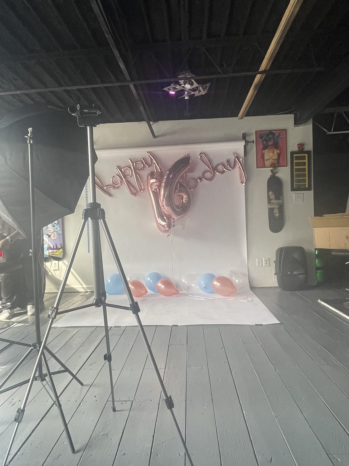 Photo Lighting Kit, 2M x 3M/6.6ft x 9.8ft Background Support System and 900W 6400K Umbrellas Softbox Continuous Lighting Kit for Photo Studio Product,Portrait and Video Shoot Photography customer photo 2
