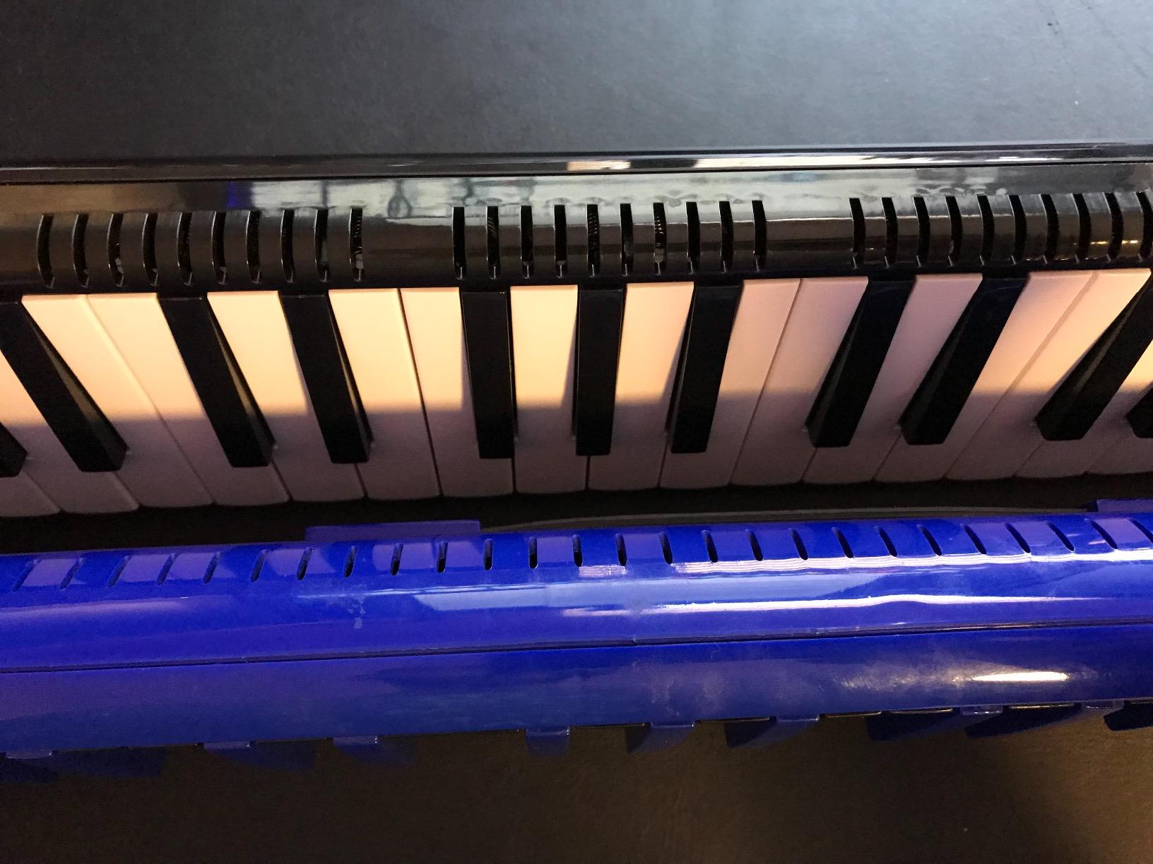 Eastar 37-Key Melodica Beginners Air Piano Keyboard, Tubes & Case, Black customer photo 1